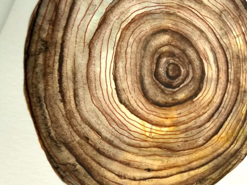 detail 2_ It Comes in Waves - Garrigues.jpeg