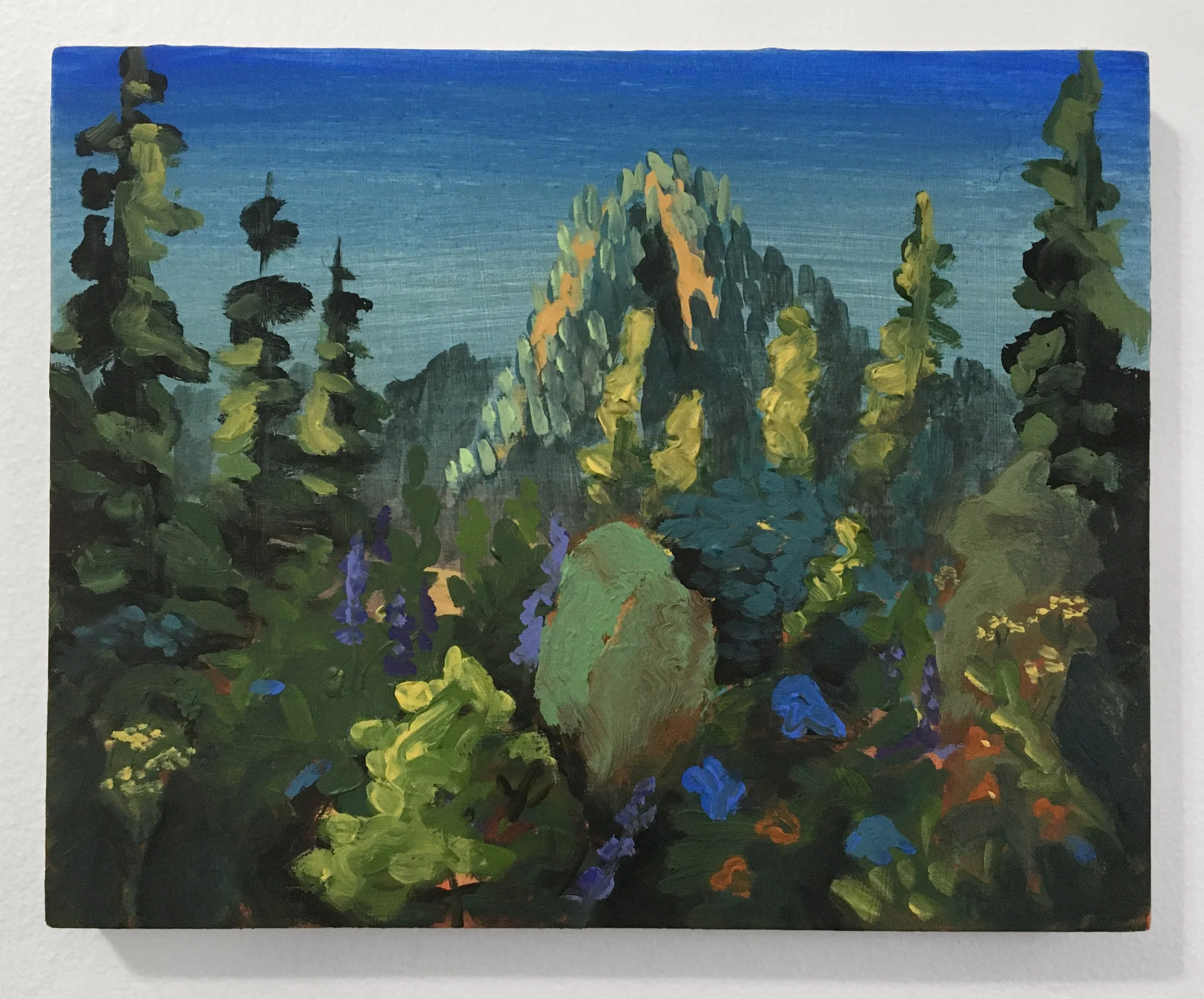 076_Alpine Wildflowers 1 - Katrina Slavik.jpg