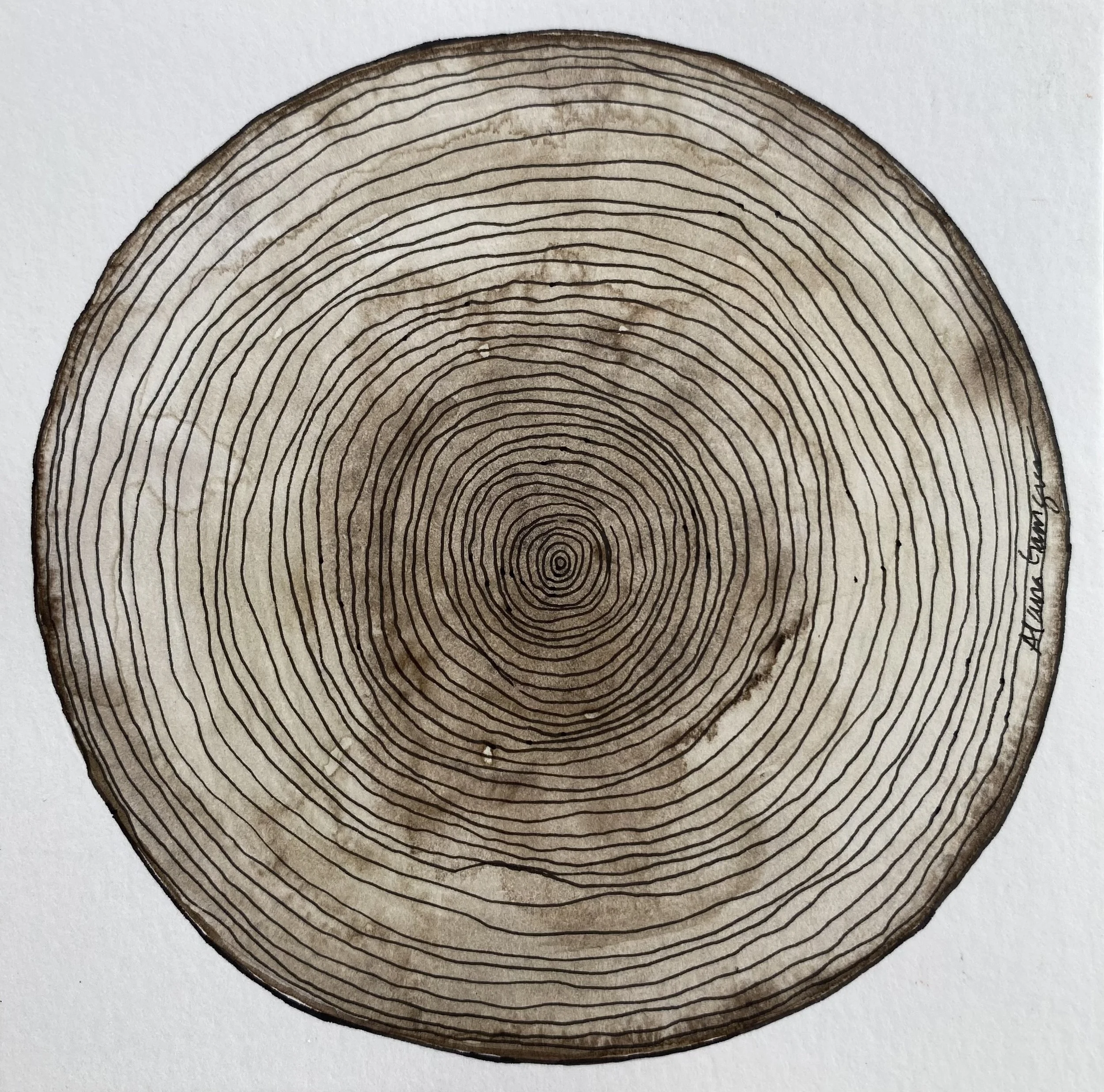 Tactile Truths Alana Garrigues - Alana Garrigues (1).jpeg