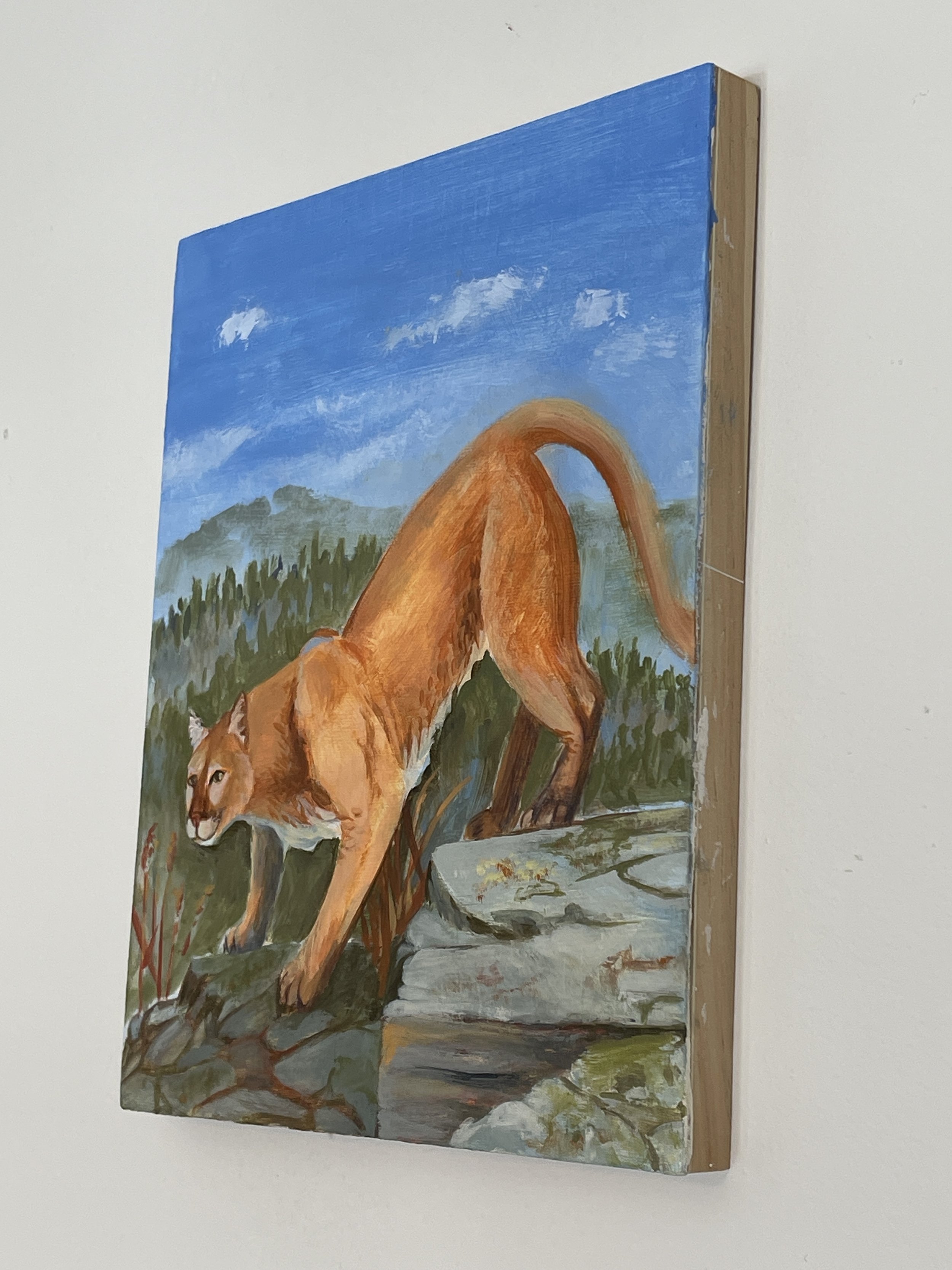 137_Mountain Lion 1.jpg