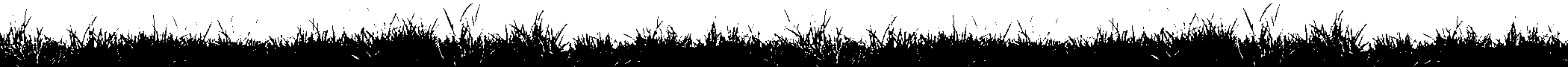 Silhouette of grass and small plants against a white background.