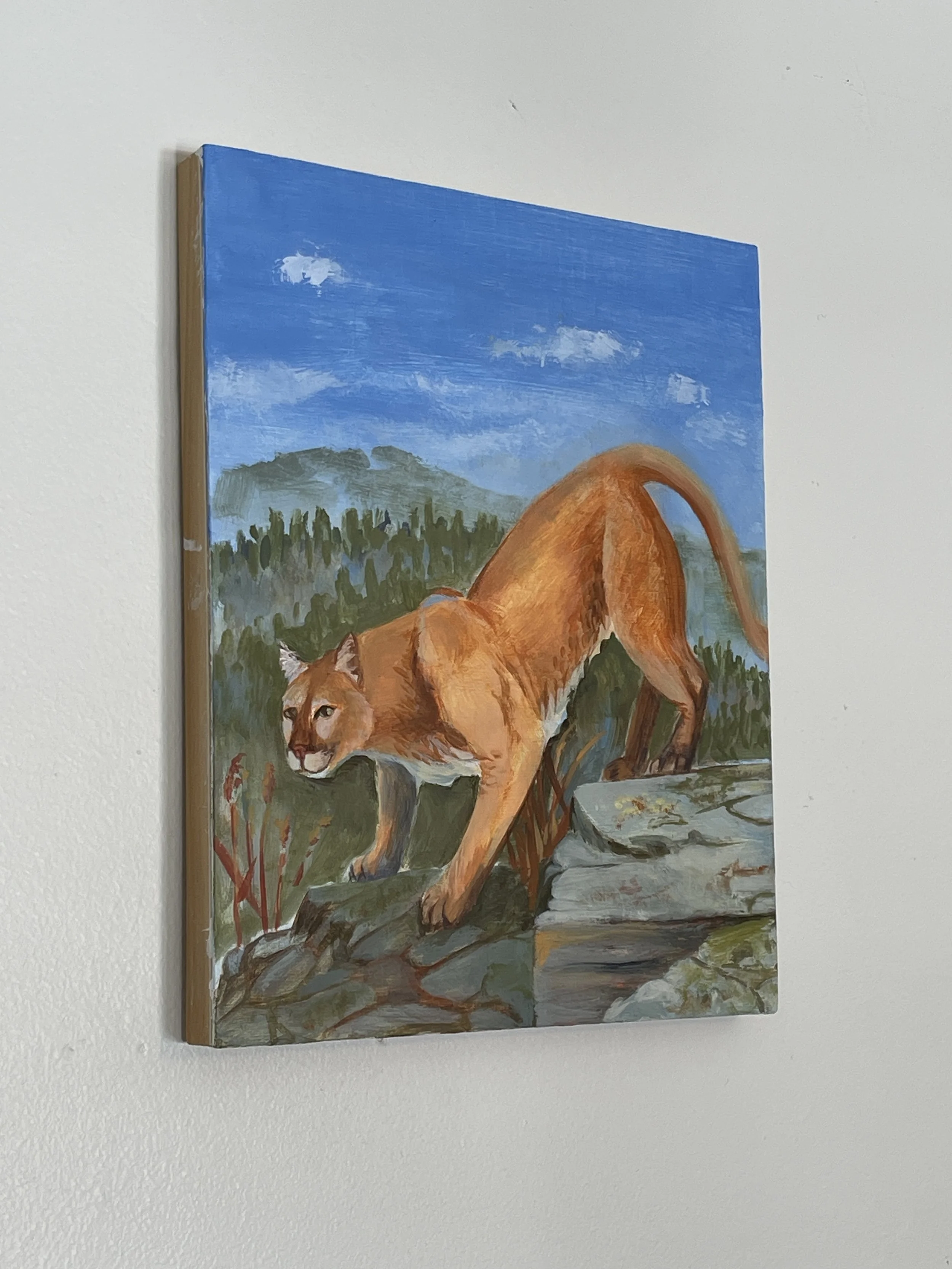 137_Mountain Lion 2.jpg