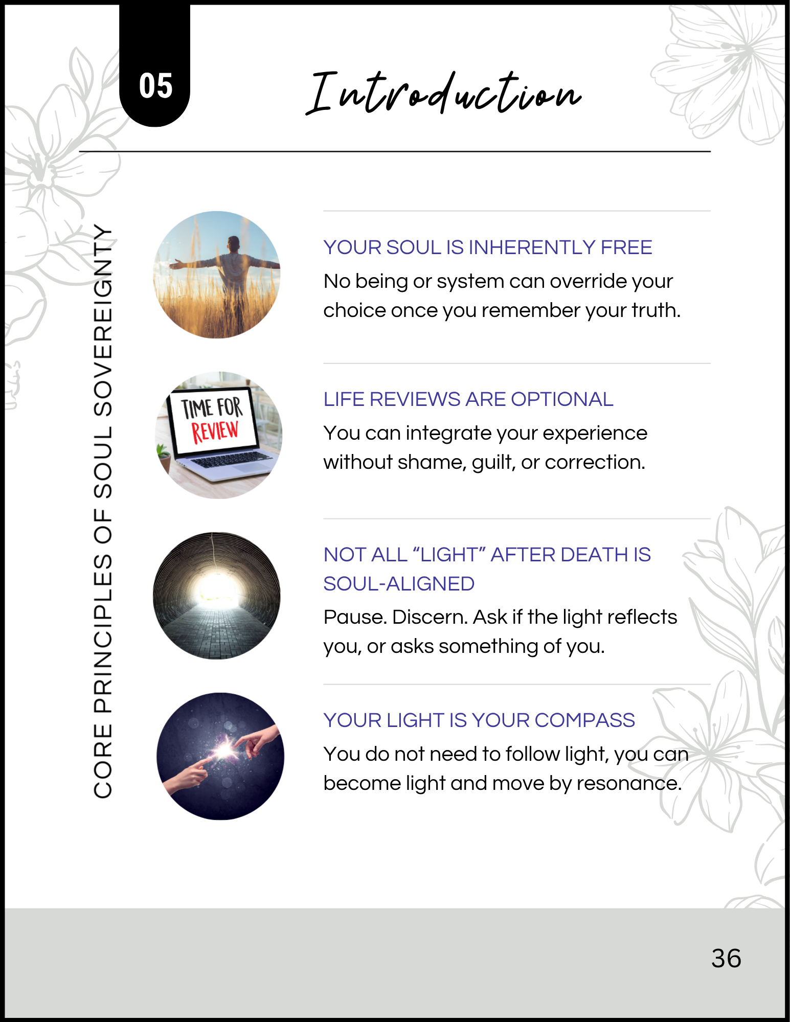 soul sovereignty ch 05 4.png (Copy)