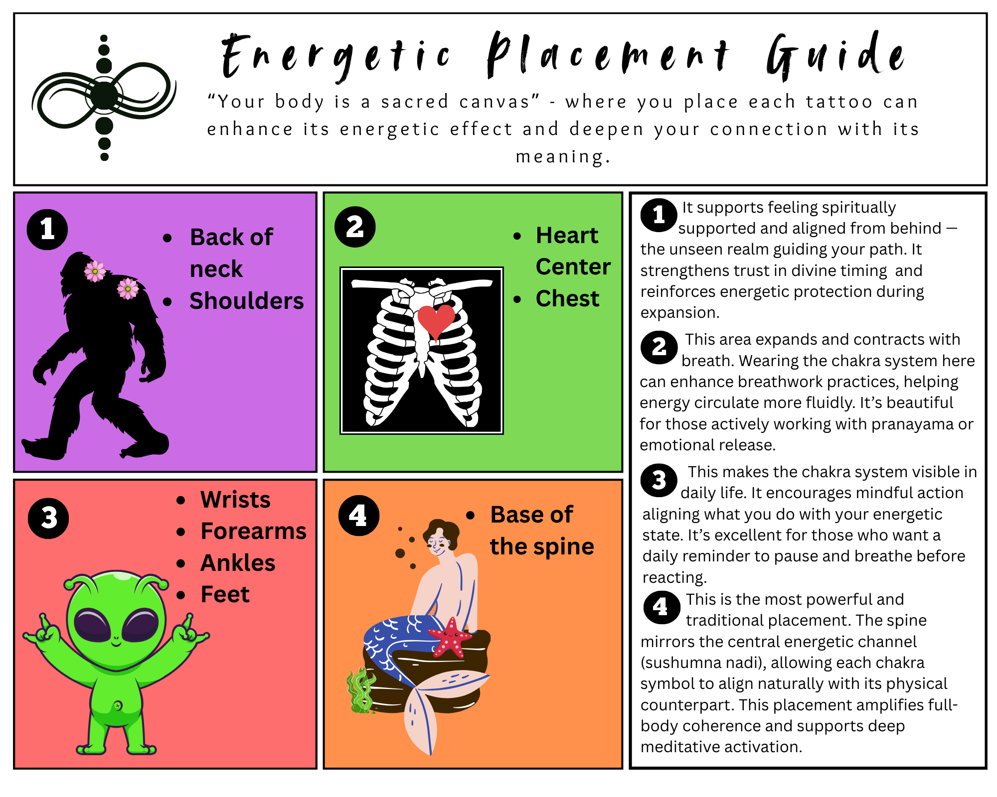  Energetic placement guidance: the seven chakras