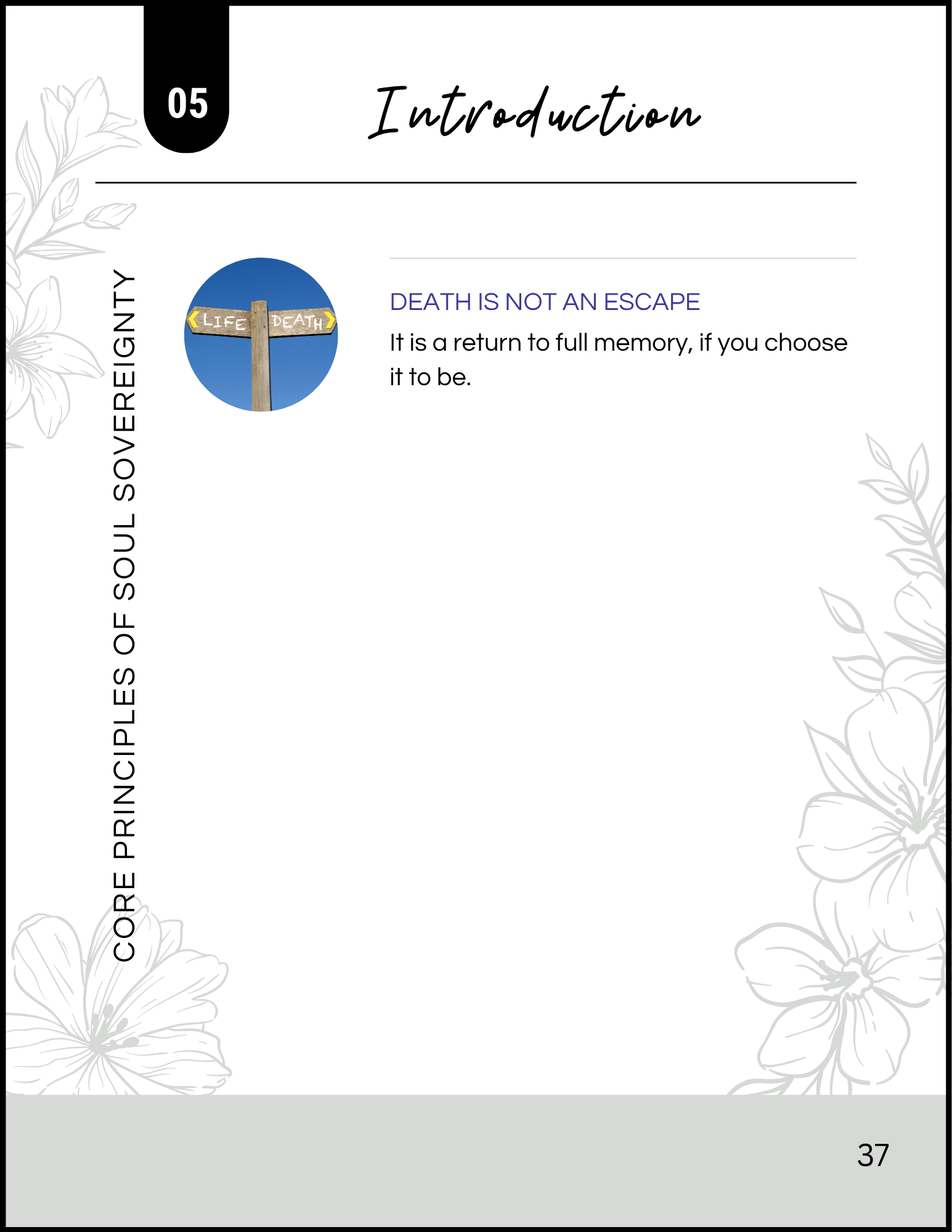 soul sovereignty ch 05 5.png (Copy)