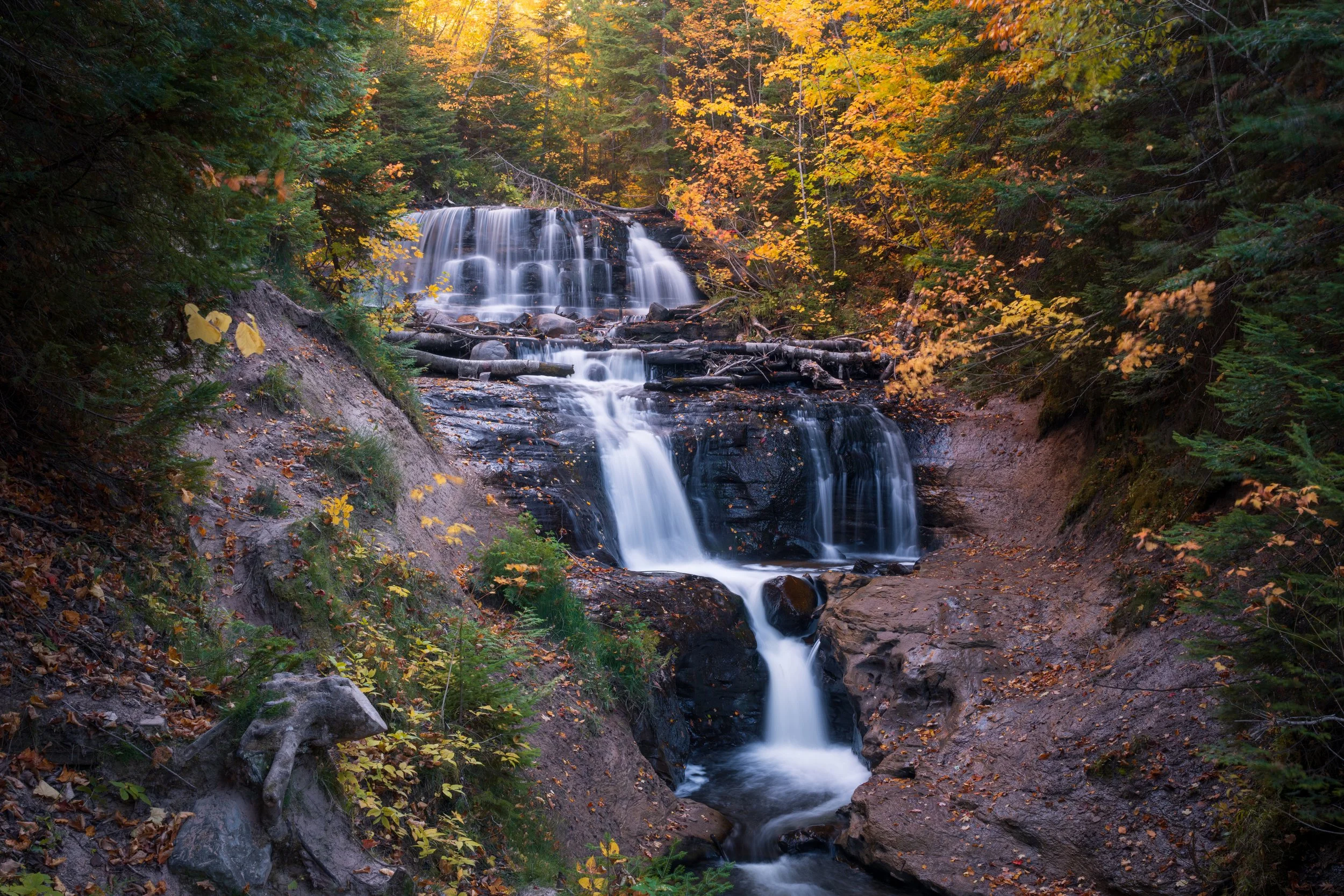 A serene forest scene during autumn with a cascading waterfall flowing over rocks, surrounded by trees with vibrant yellow, orange, and green leaves.