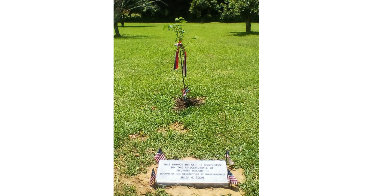 Gross plants ‘Liberty Tree’ in honor of family ancestor who signed Declaration of Independence