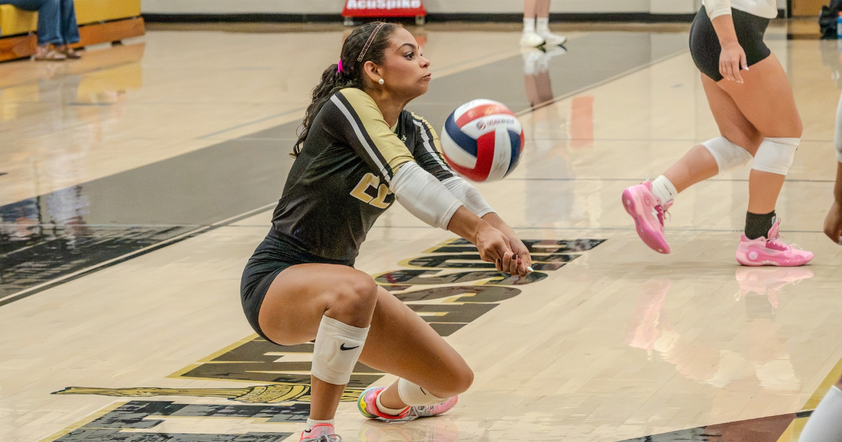 Varsity volleyball roundup: Belgreen, Russellville secure key area wins
