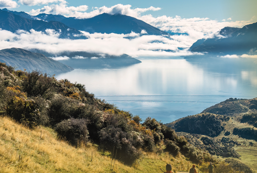 NZ Fulvic™ powder product package