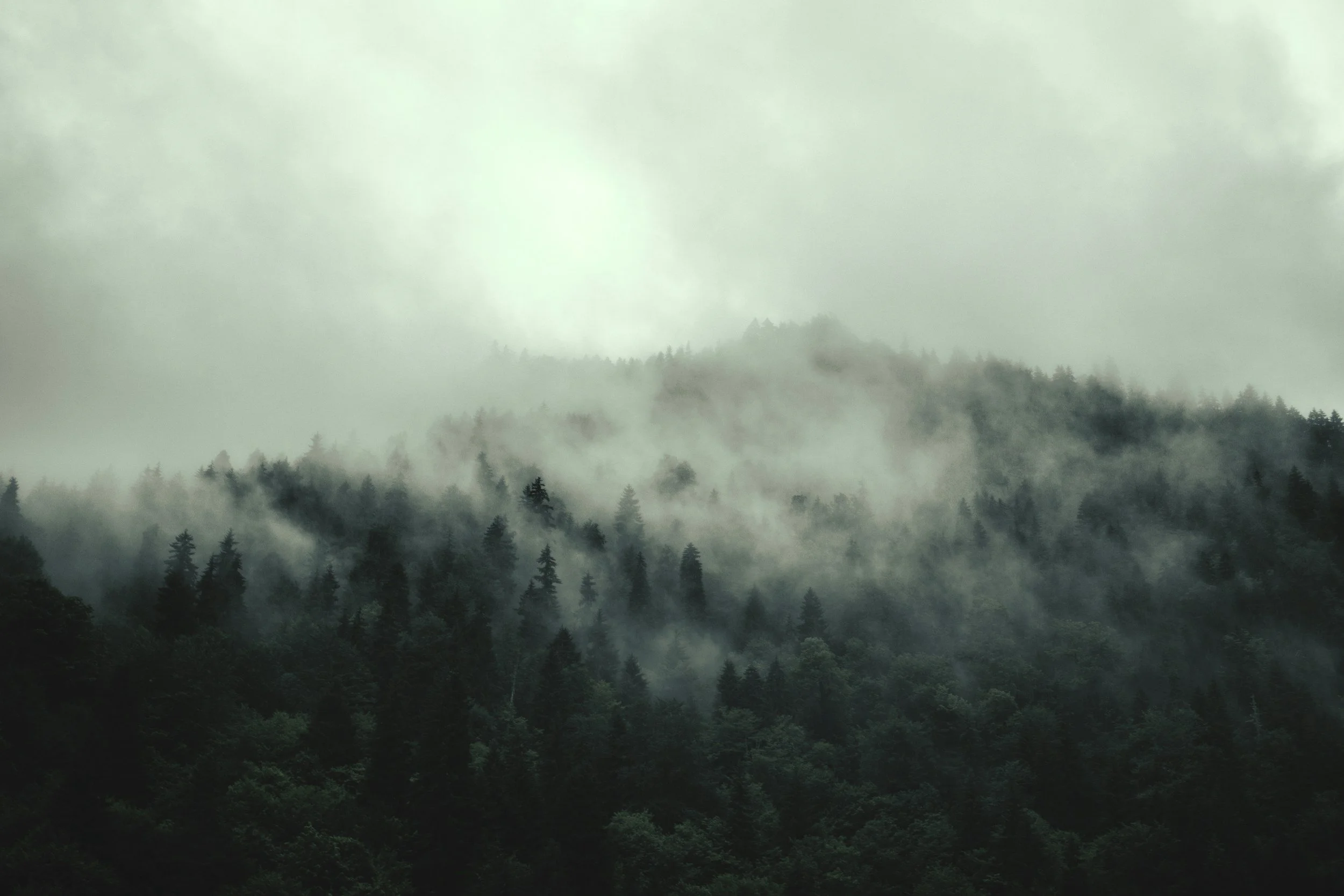 unsplash-image-dkNG0-zycO8.jpg