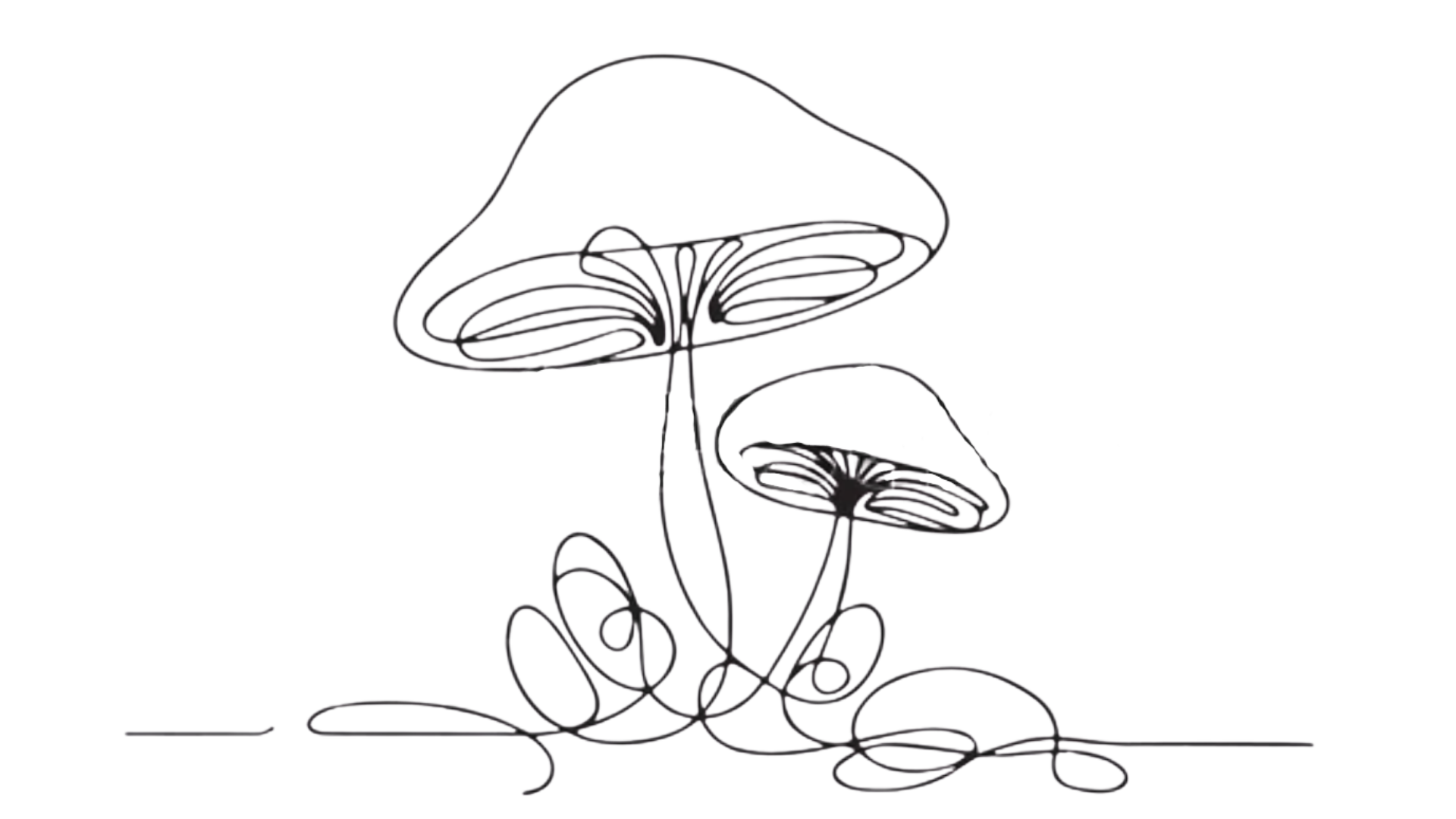 Line drawing of two mushrooms with a reflective shape and elongated stems, one large and one small, on a flat surface.