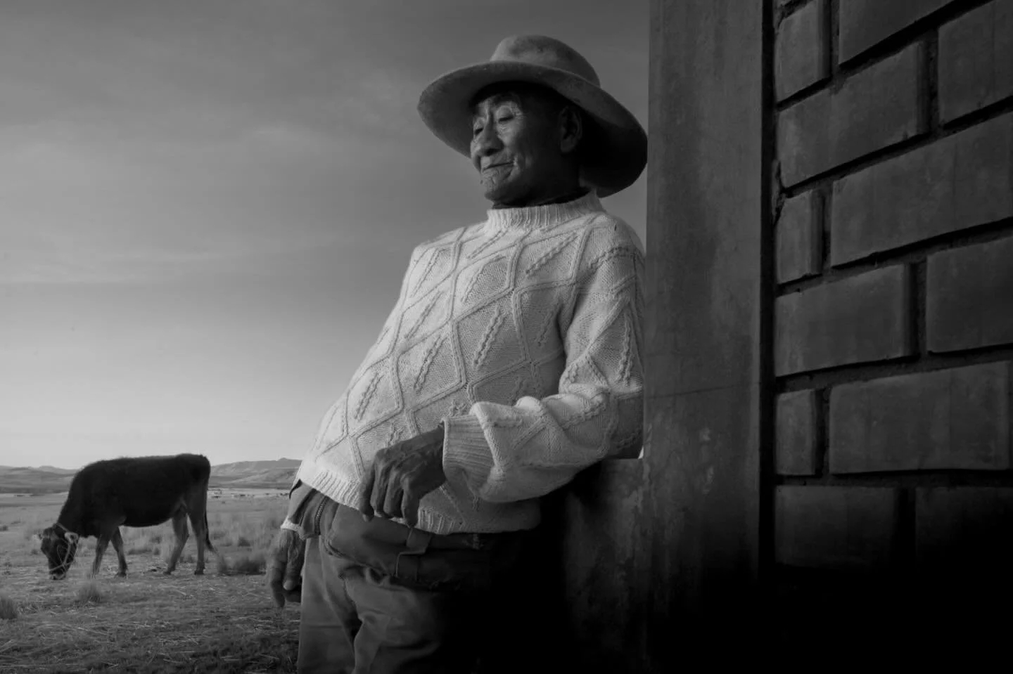 Perú, 2025
@vital.impacts 
#longtermproject #elpreciodelatierra
