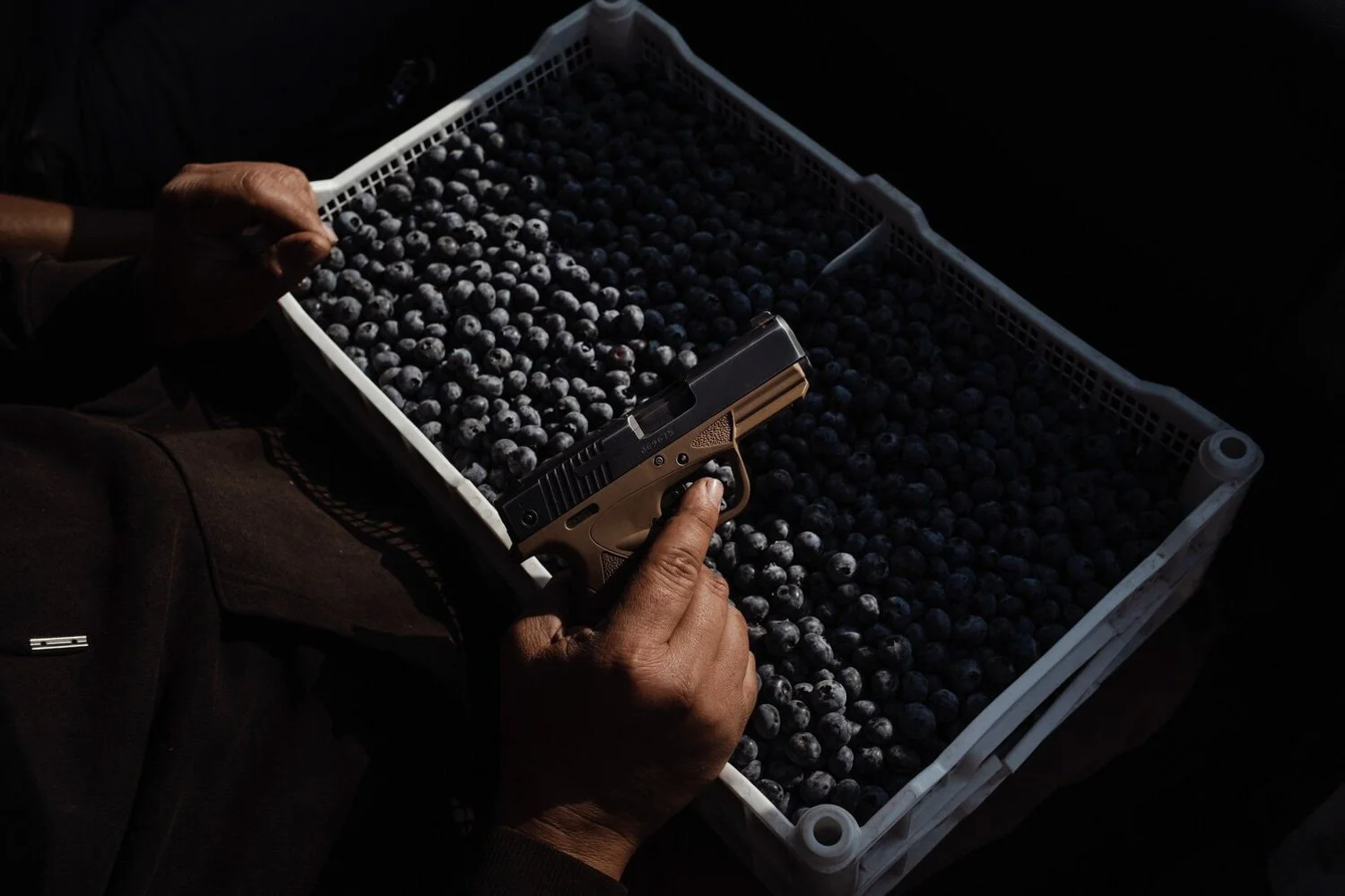 peru-blueberries-global-export-top-producer-alessandrocinque