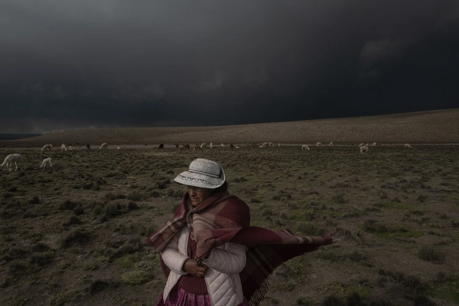 peru-alpacas-andes-highlands-Indigenouscommunities-alessandrocinque-NationalGeographic-Worldpressphoto