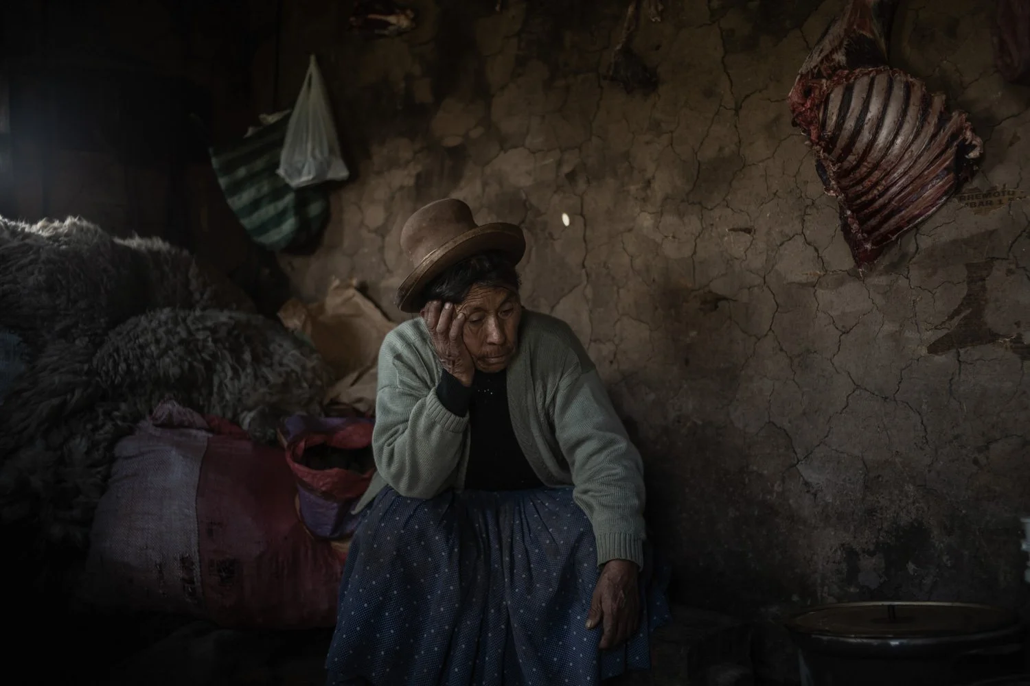peru-alpacas-andes-highlands-Indigenouscommunities-alessandrocinque-NationalGeographic-Worldpressphoto
