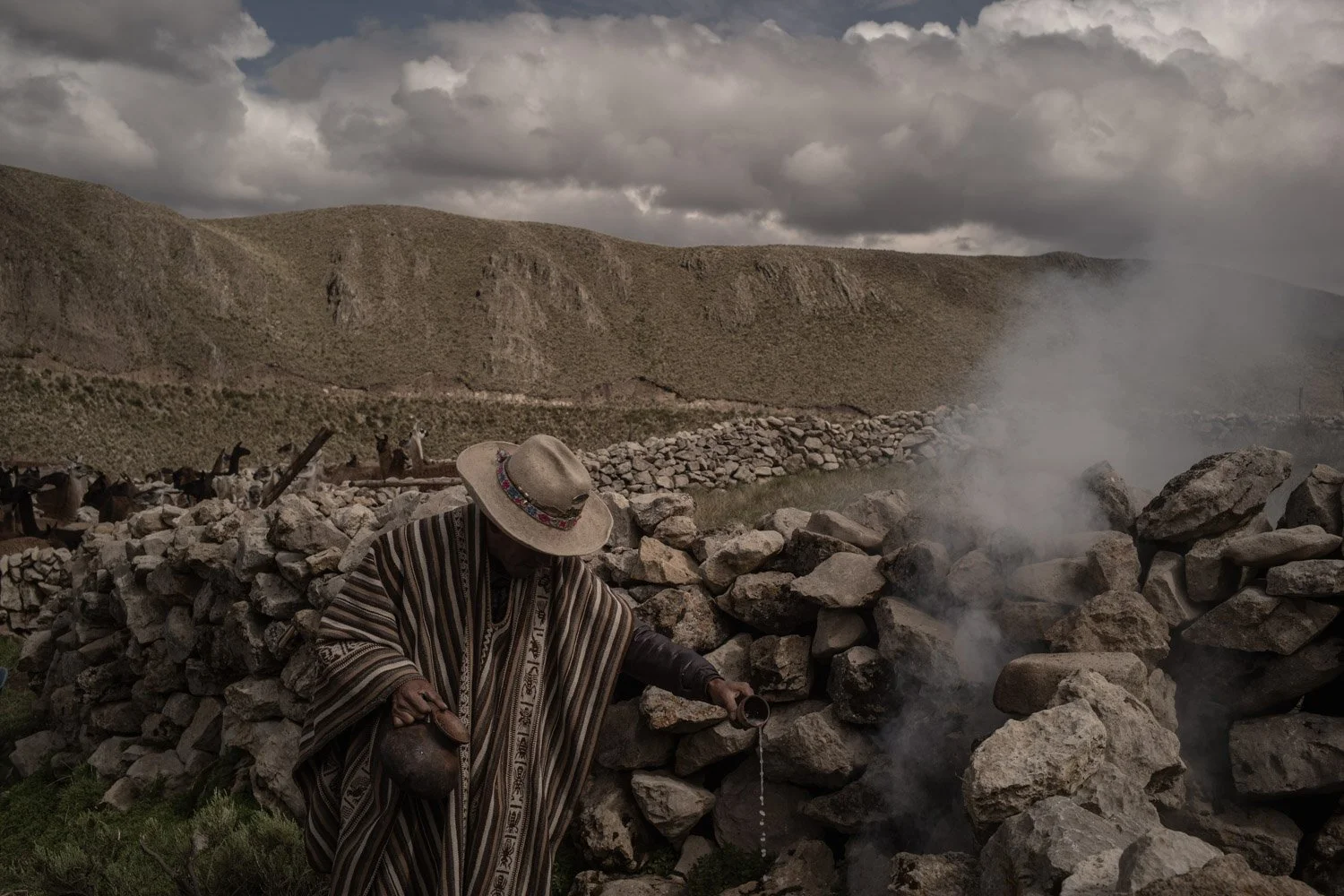 peru-alpacas-andes-highlands-Indigenouscommunities-alessandrocinque-NationalGeographic-Worldpressphoto