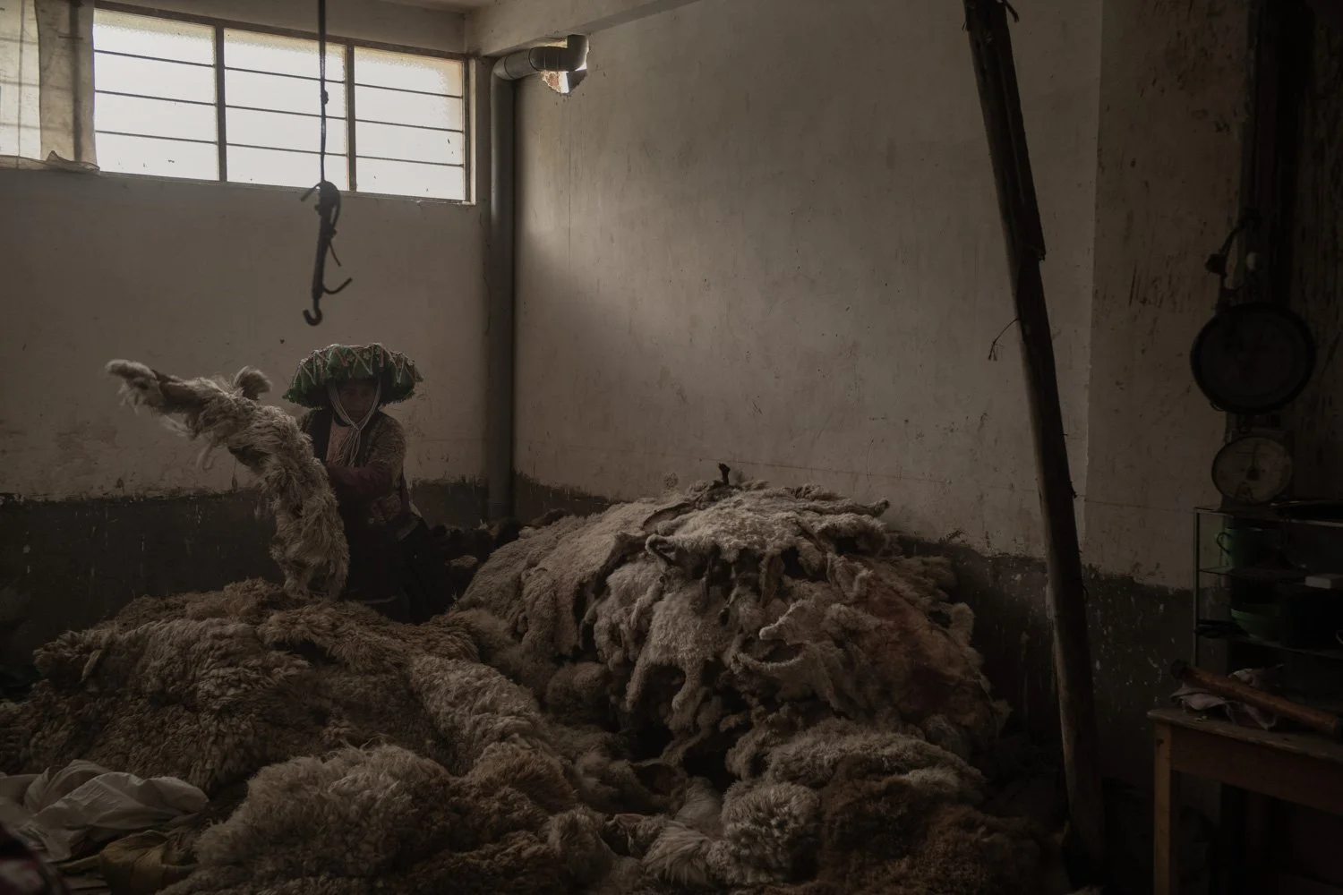 peru-alpacas-andes-highlands-Indigenouscommunities-alessandrocinque-NationalGeographic-Worldpressphoto