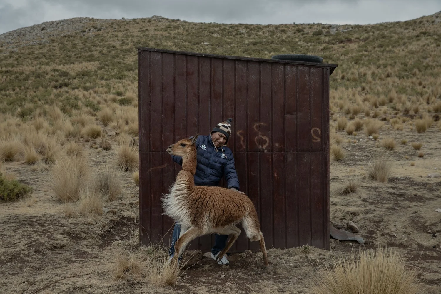 peru-alpacas-andes-highlands-Indigenouscommunities-alessandrocinque-NationalGeographic-Worldpressphoto
