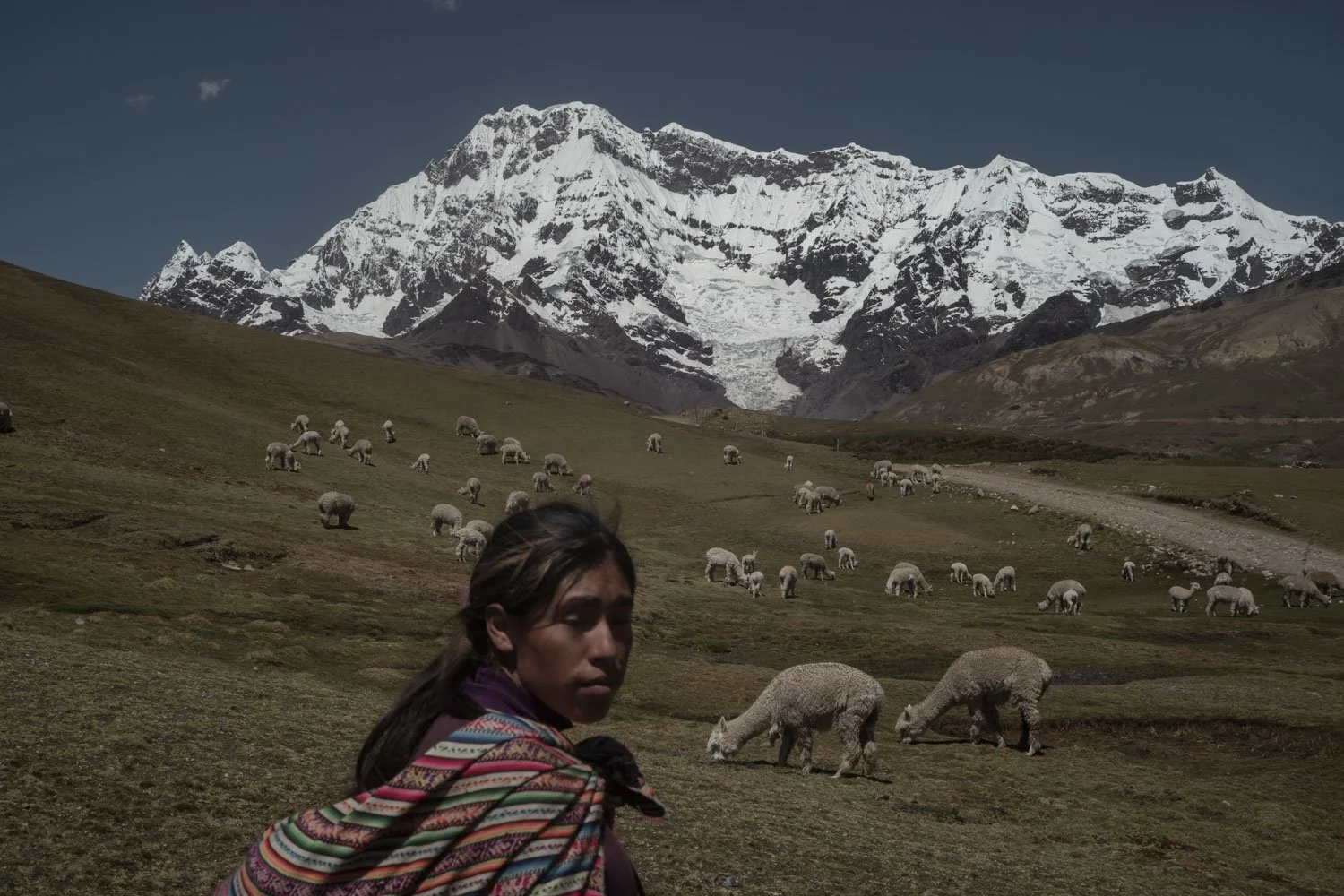 peru-alpacas-andes-highlands-Indigenouscommunities-alessandrocinque-NationalGeographic-Worldpressphoto