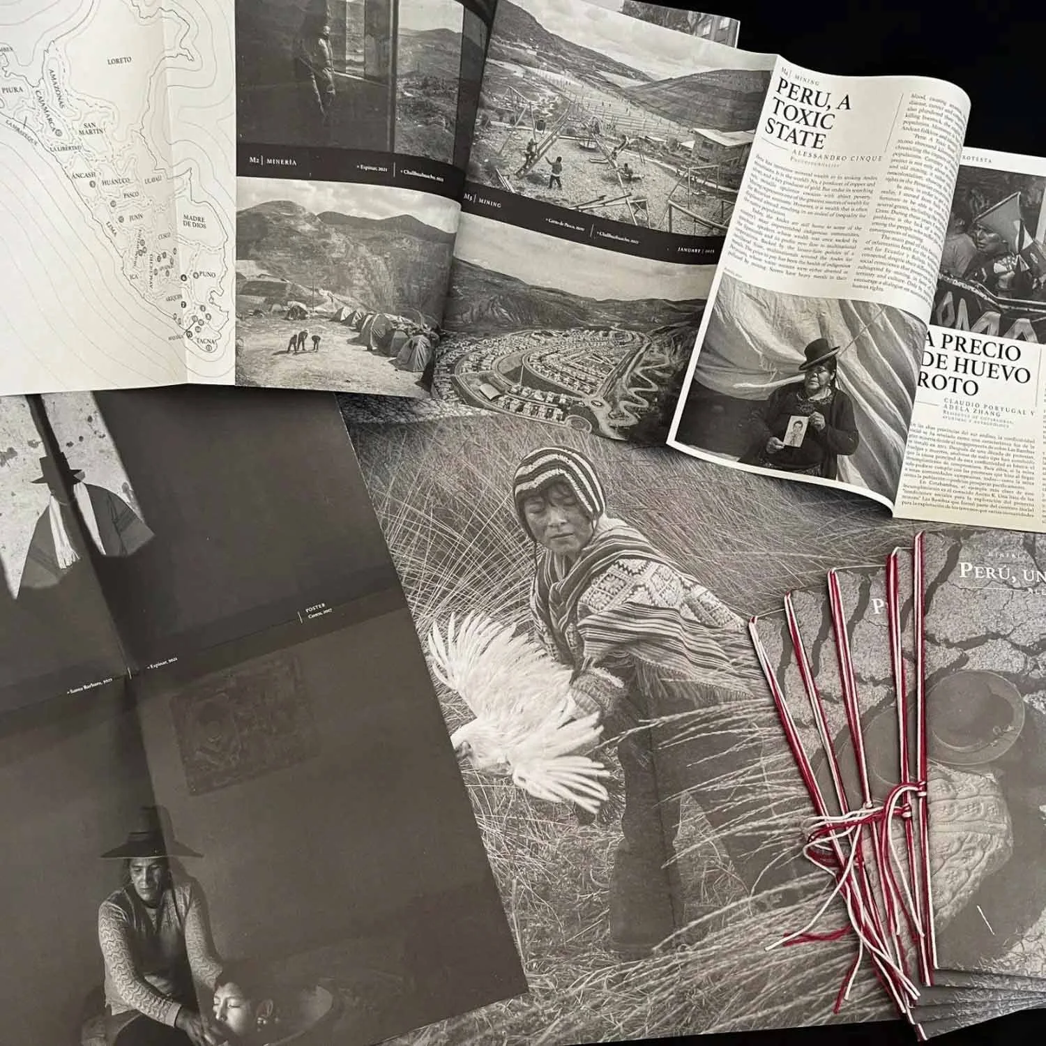 Fanzine "Peru, un Estado Toxico"