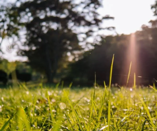 Safe Sleep in Hot Weather Everything You Need to Know