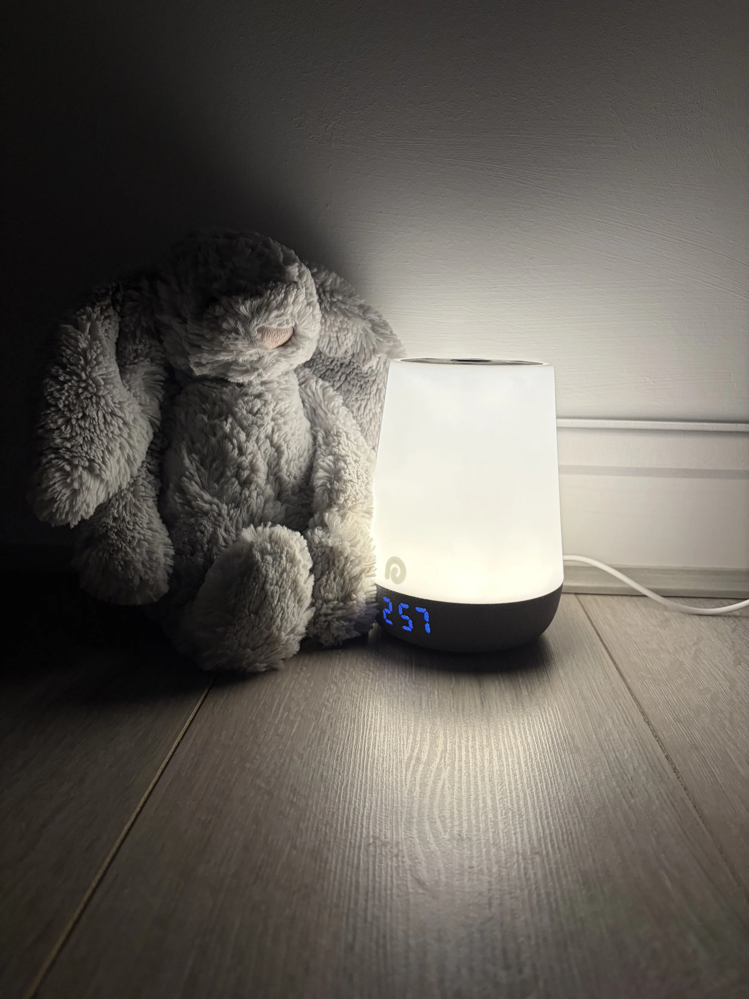 A plush gray bunny stuffed animal sitting on the floor next to a white and gray humidifier with a digital display showing temperature 25.7°F.