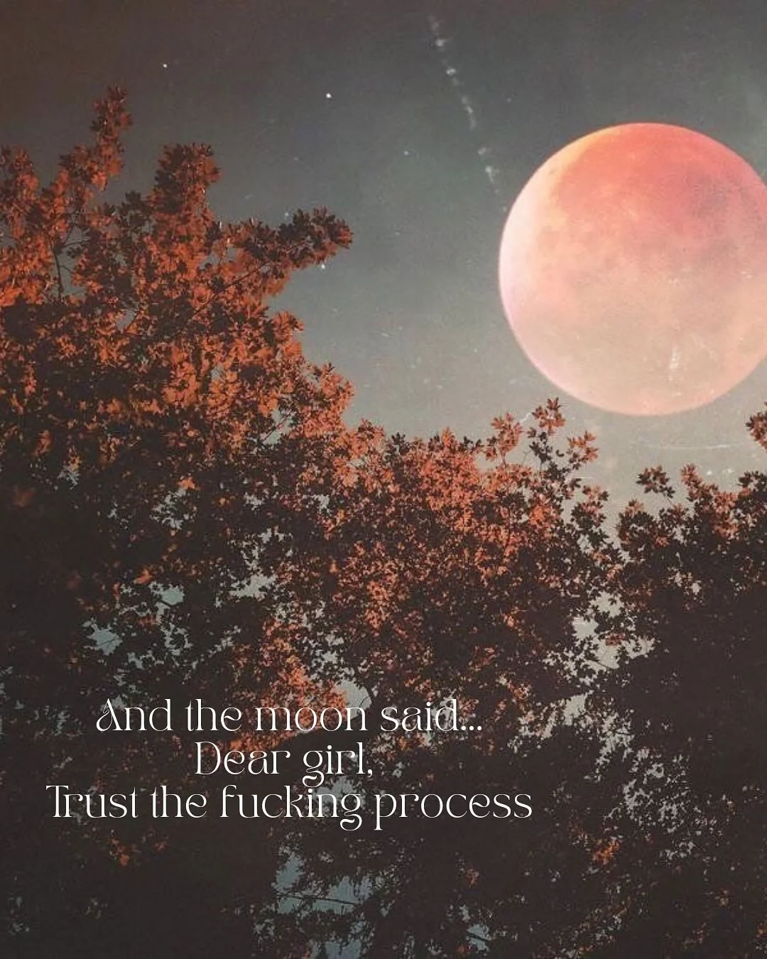 Tonight the Supermoon rises.. 
Closer to our earth shining brighter feeling louder and  more potent&hellip; 
Reminding us how to glow without apology&hellip;
Inviting you to look back through this year, see how you&rsquo;ve grown, celebrate what you 