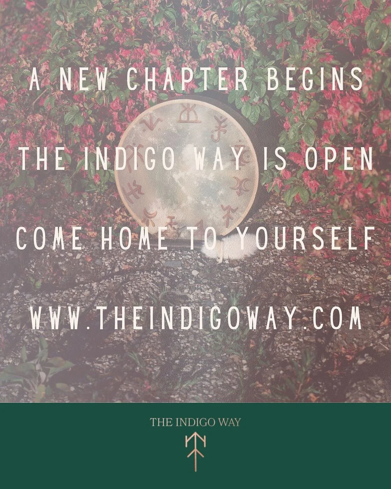 Under the eclipse, we do not chase light.
We become it.
I am delighted to introduce &hellip;
The Indigo Way ❤️ www.theindigoway.com