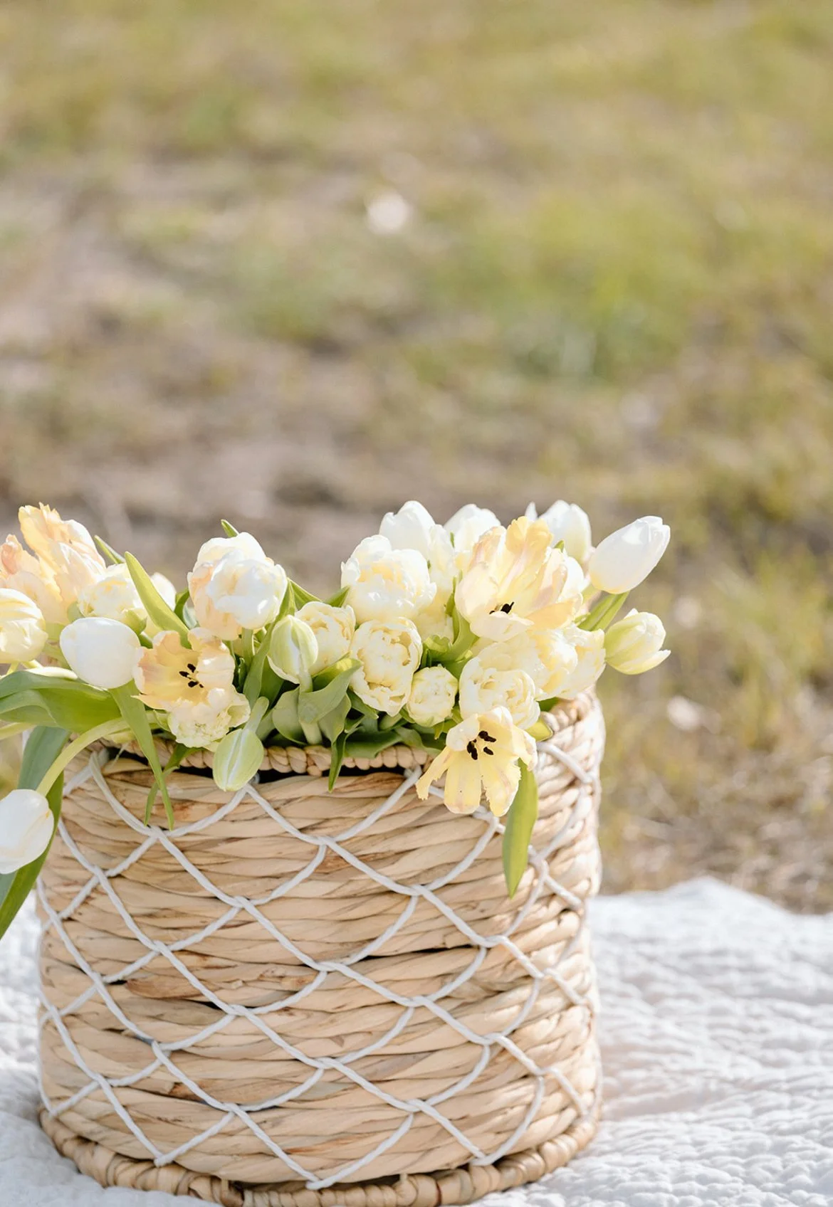 A woven basket filled with white and pale yellow tulips and peonies. The basket rests on a white fabric surface outdoors, with a blurred grass background.