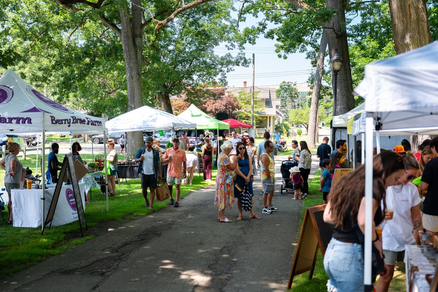 Binghamton Farmers Market | Discover Fresh Local Goods