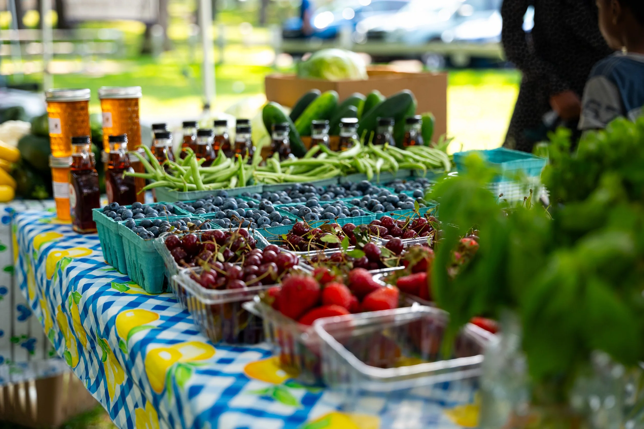 (Hi-res)-Binghamton-Farmers-Market-2024-MEbbersPhoto-143 (1).JPG