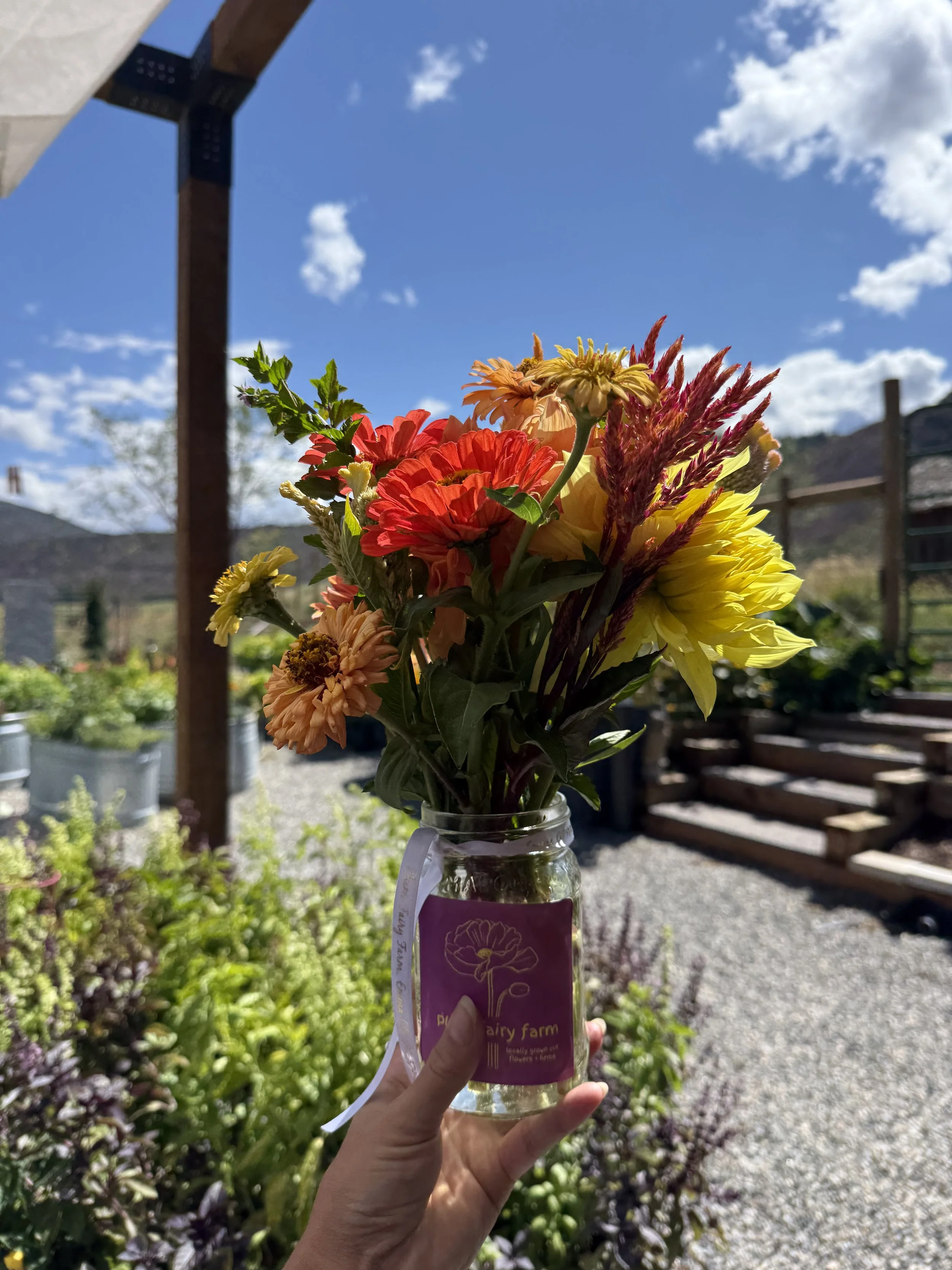 A person holding a glass jar with a bouquet of colorful flowers, including orange, yellow, and pink blooms, against a bright outdoor sky with clouds and mountains in the background.