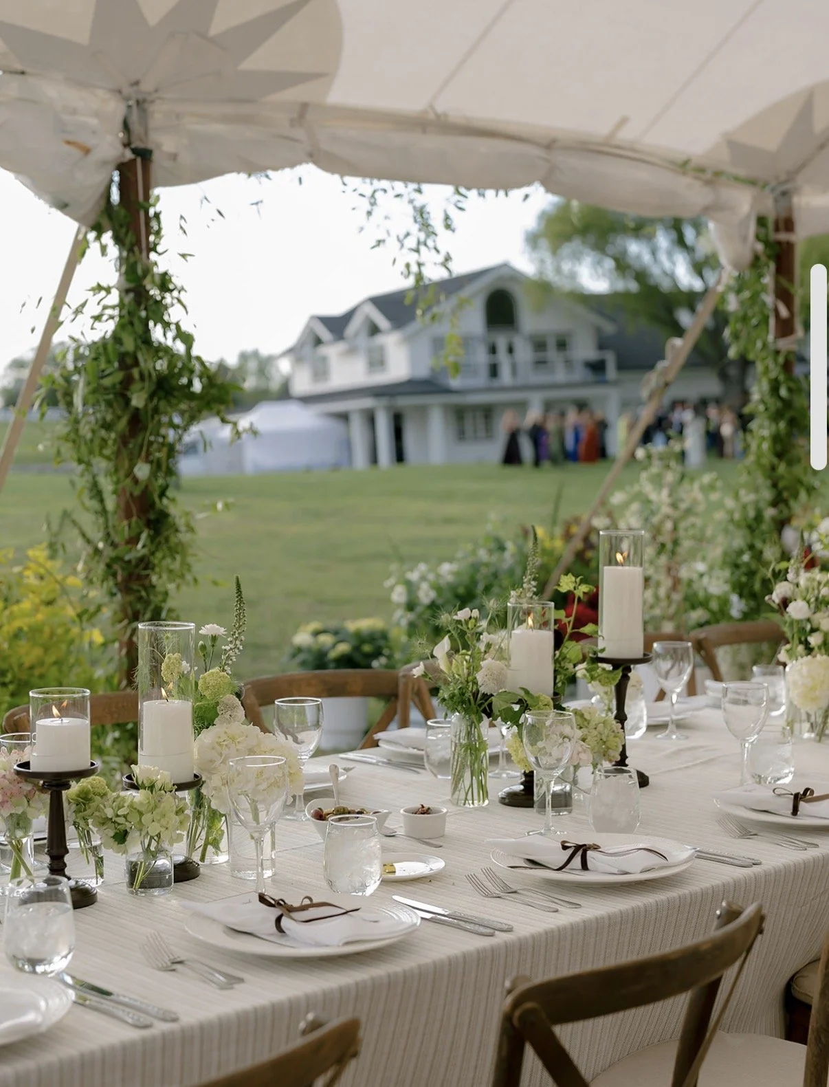 IMG_1495.jpg