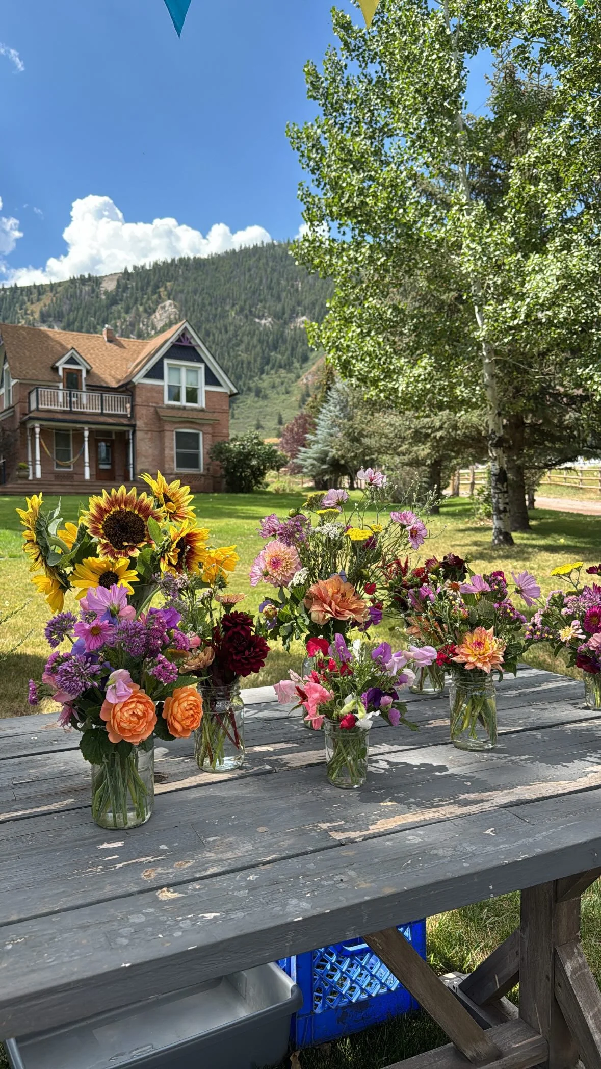 A wooden outdoor table with multiple glass jars containing colorful flowers, set on a porch or yard with green grass, trees, a house, and mountains in the background under a clear blue sky with some clouds.