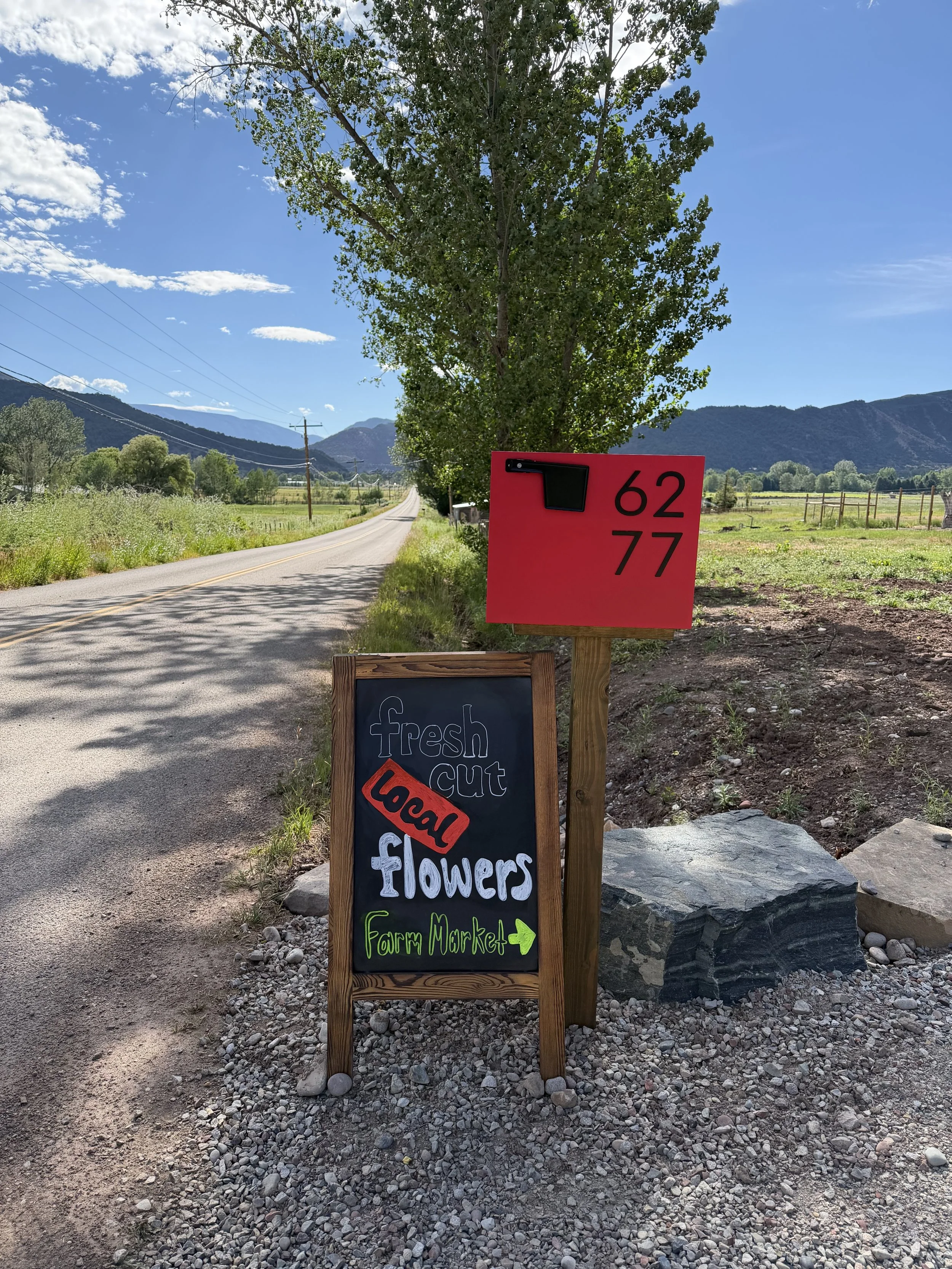 A red sign with black numbers 62 and 77, a black mailbox, and a blackboard sign with colorful writing advertising fresh cut flowers and a farm market, set against a rural landscape with a paved road, green fields, trees, mountains in the distance, an