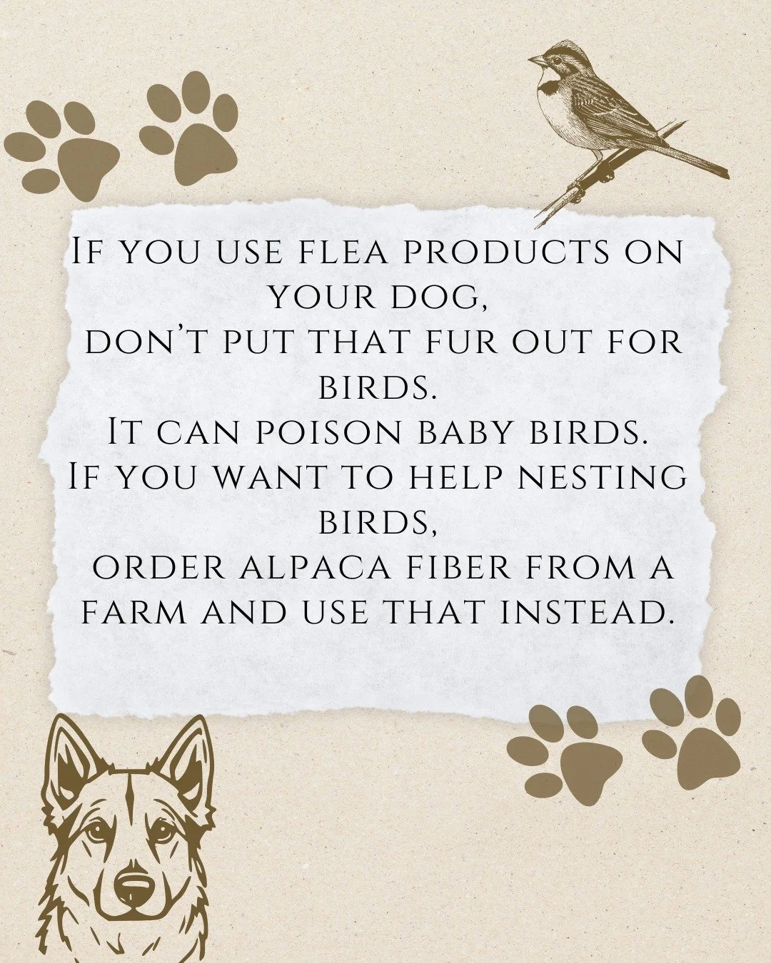I learned this today from a holistic veterinarian, and it felt important to share.

When we brush our dogs and leave their fur out for birds to use as nesting material, that fur can carry residues from flea and tick products &mdash; including some la