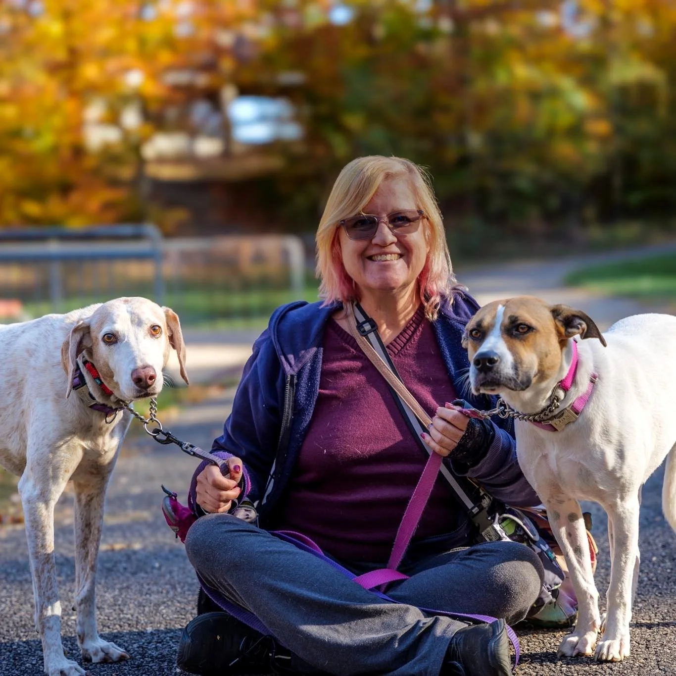 What my dog taught me about life