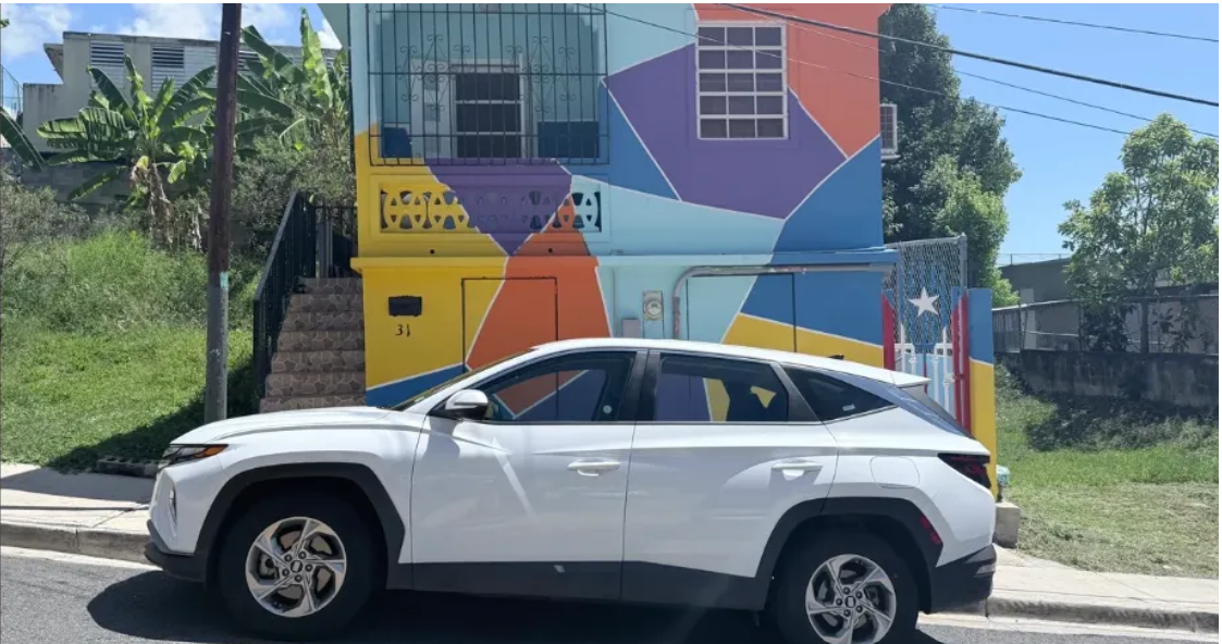 Talking to Animals Taught Me an Unexpected Lesson About Myself