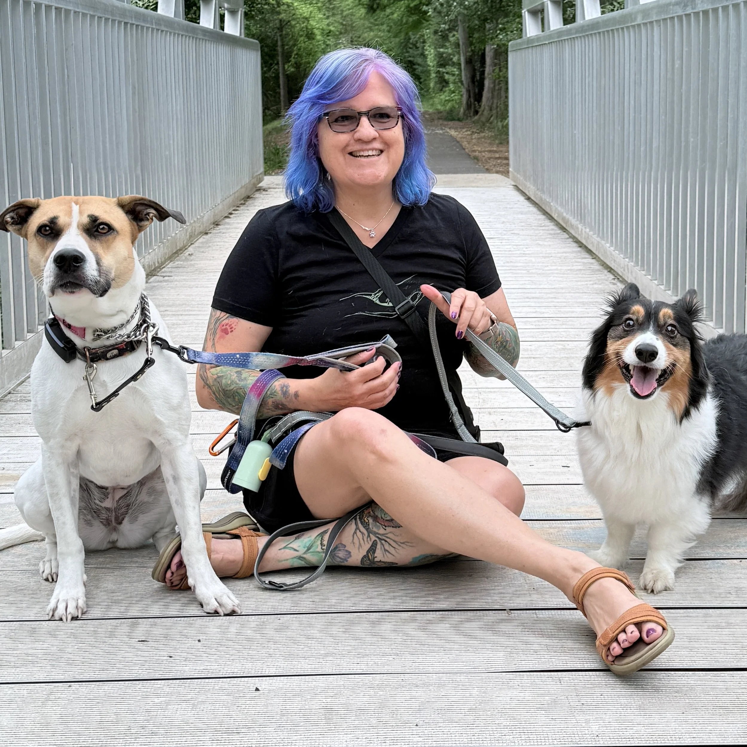 Woman with purple hair with two dogs. One white and brown the other a tri color Corgi