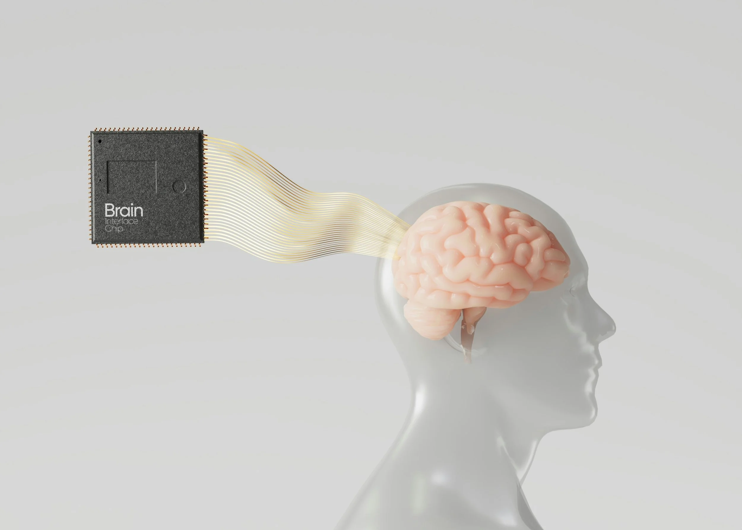 Data Without the Headache: How AI Levels the Playing Field