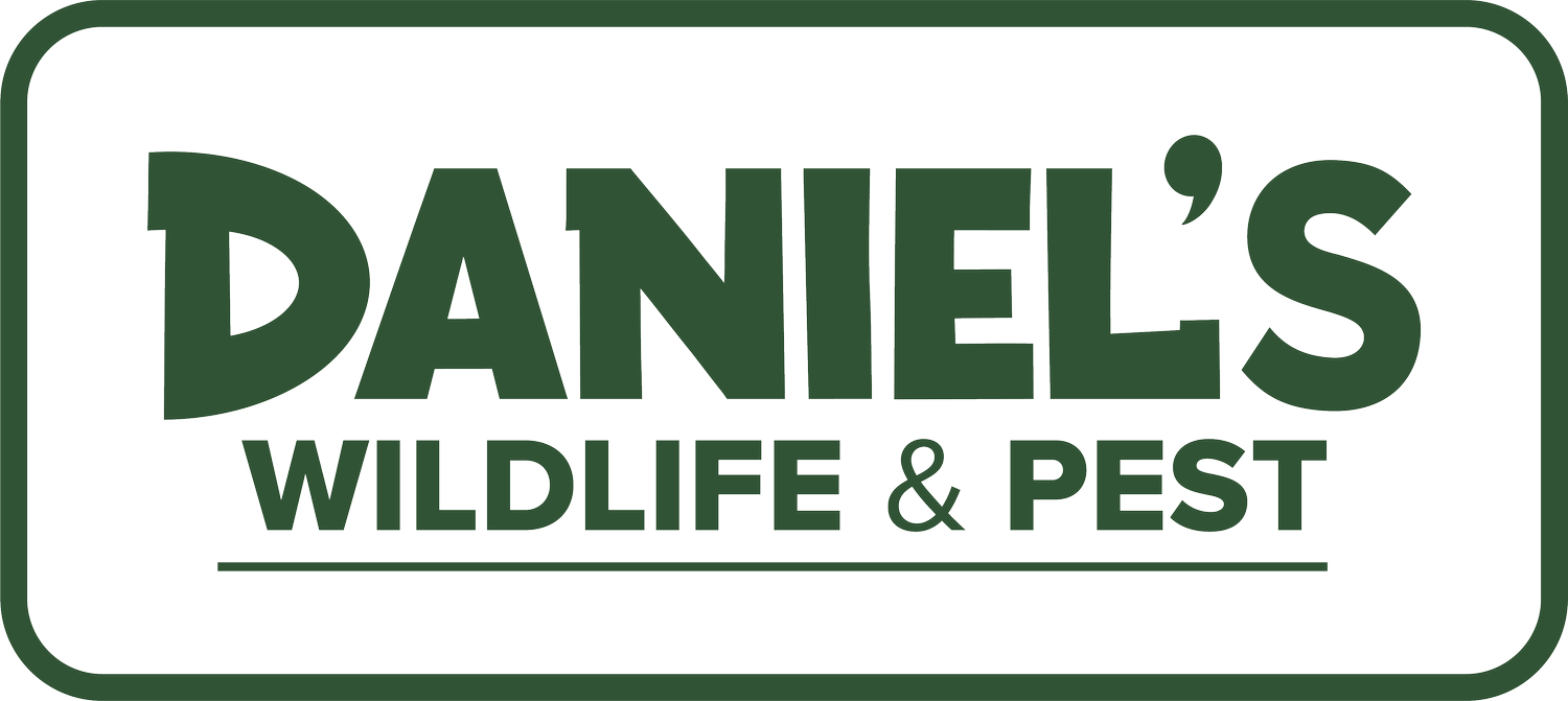 Daniel&#39;s Wildlife &amp; Pest Control