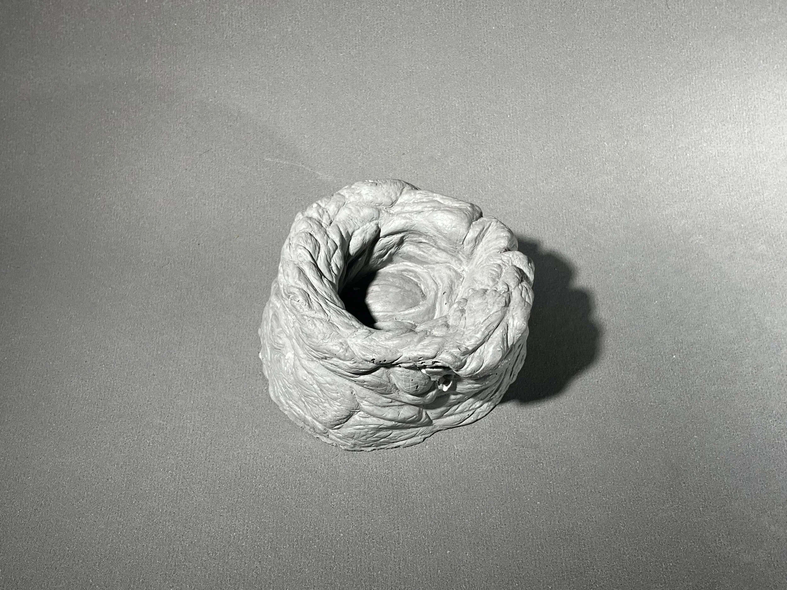 20260507_193355707_iOS.jpg