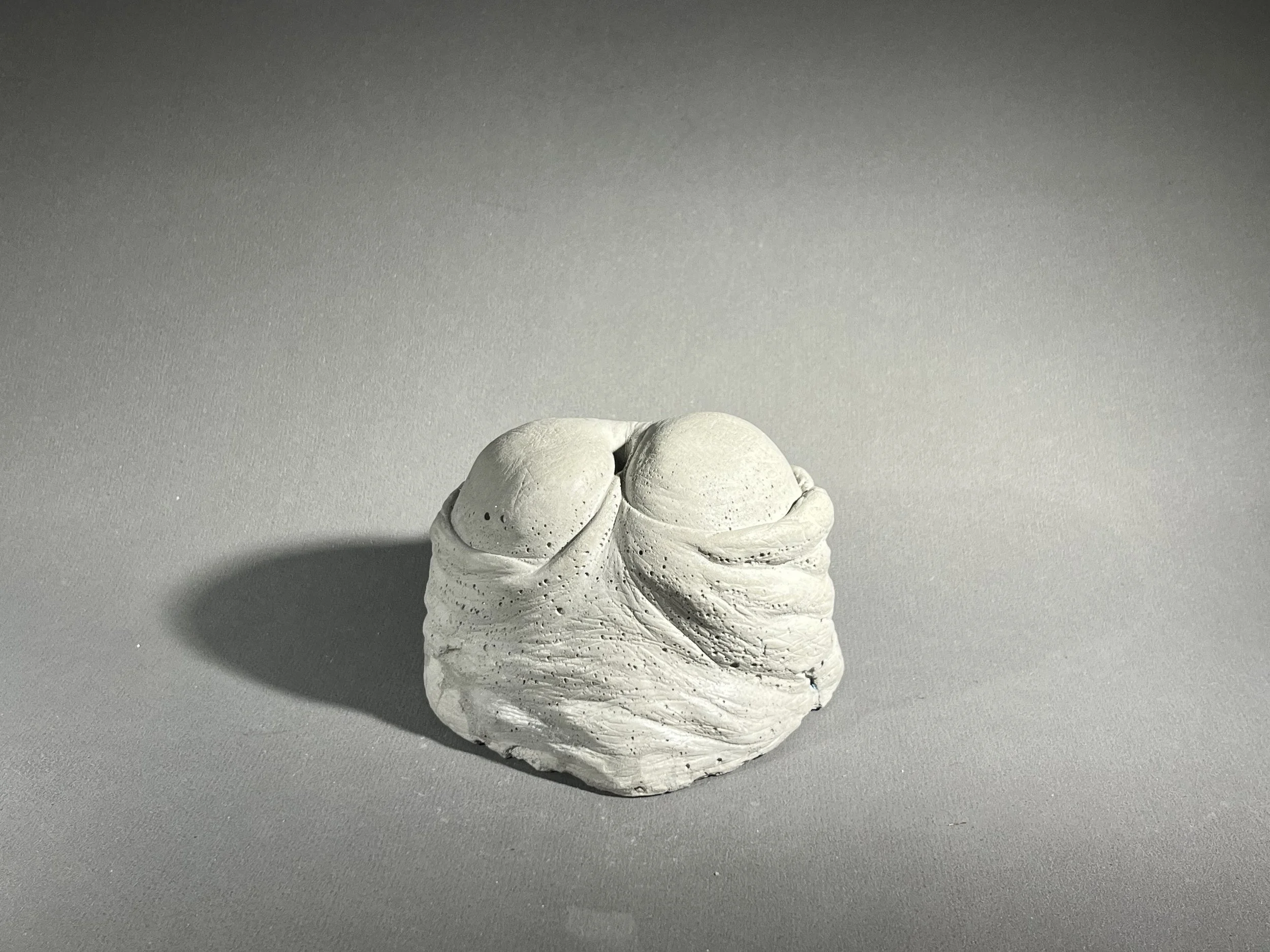 Escultura BRUTO! 006 (014)