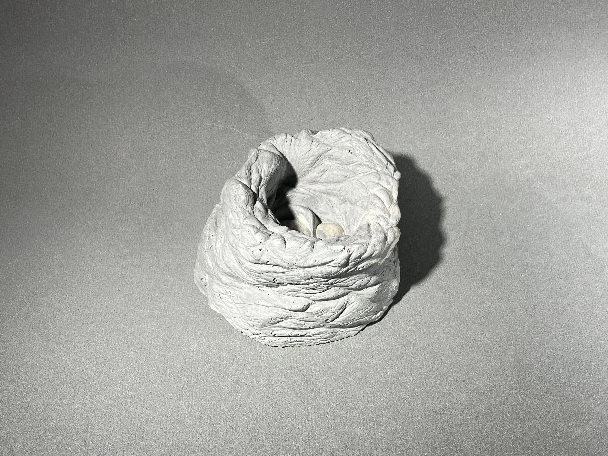 20260507_193517904_iOS.jpg