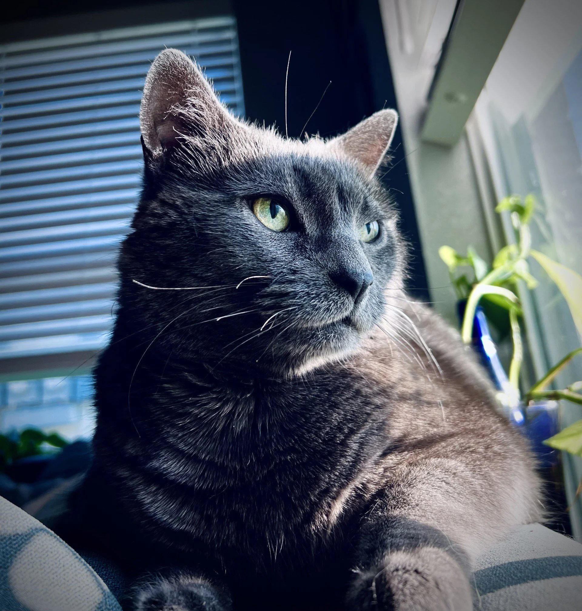 5376949b-440a-4dfd-8df7-f69cadc1f1f5.jpeg