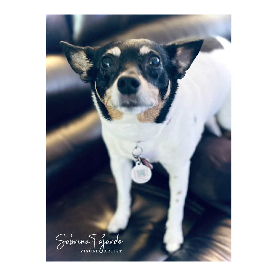 PETSPHOTOS-31.png
