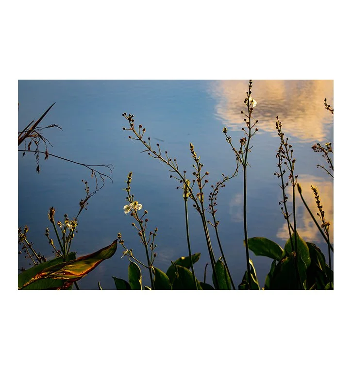 mmm photo.jpg
