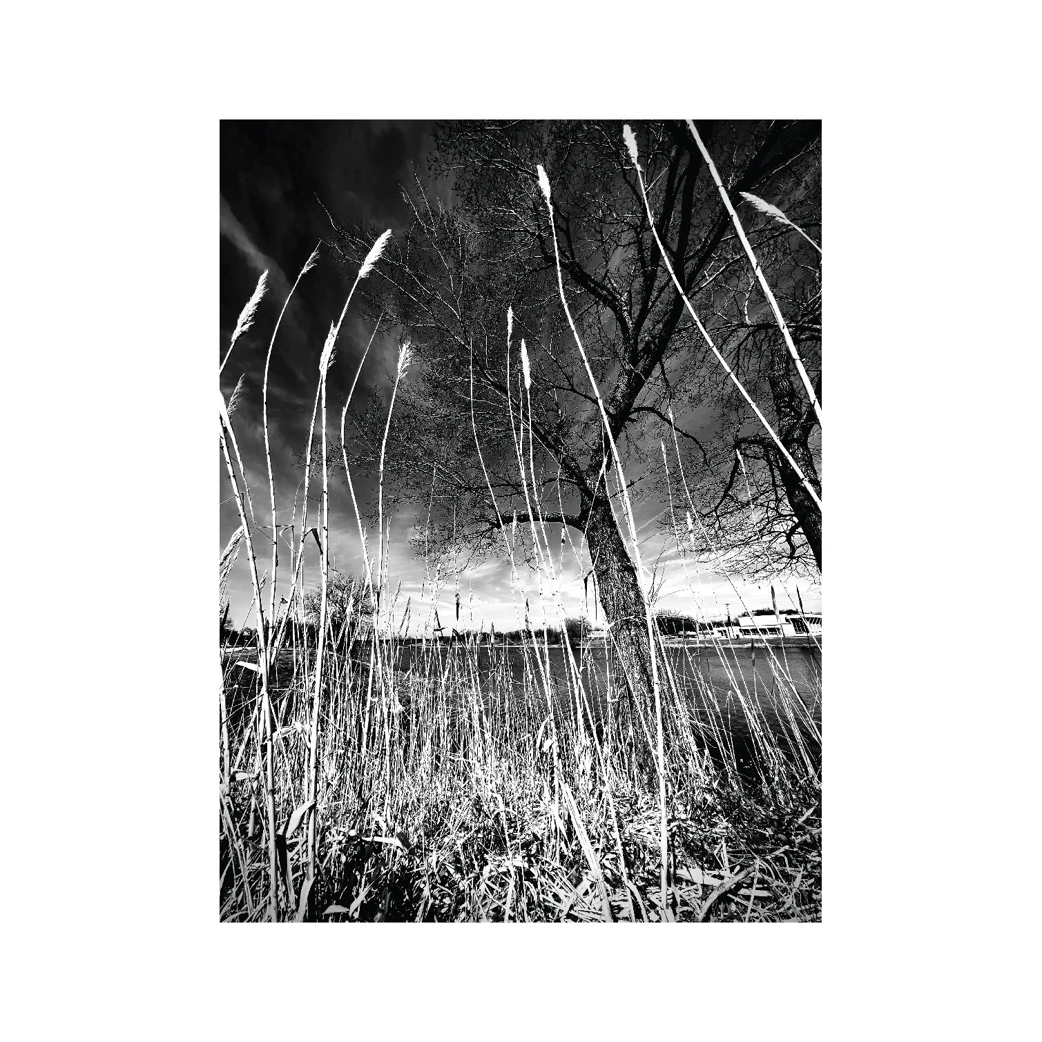 1ab photo-09.jpg