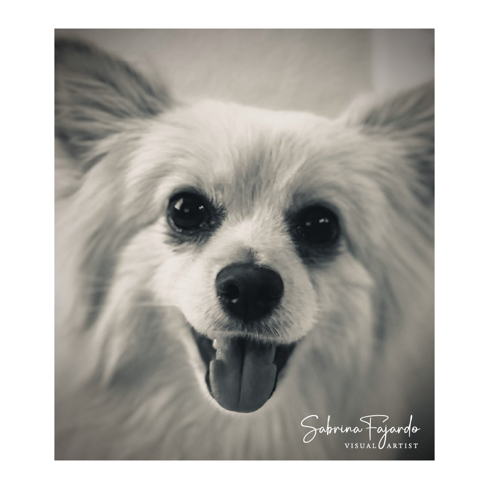 PETSPHOTOS-09.png
