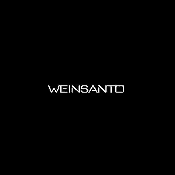 RUNWAY WEINSANTO DUBAI FASHION WEEK